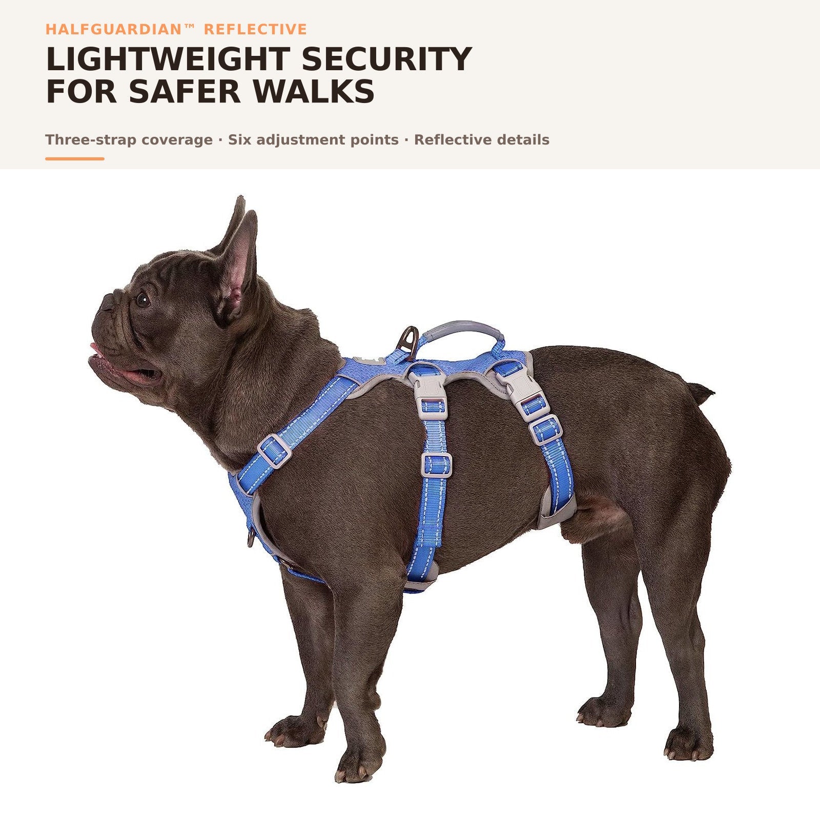Huntboo HalfGuardian Reflective escape-proof dog harness in tech blue, on-dog overview #color_tech blue