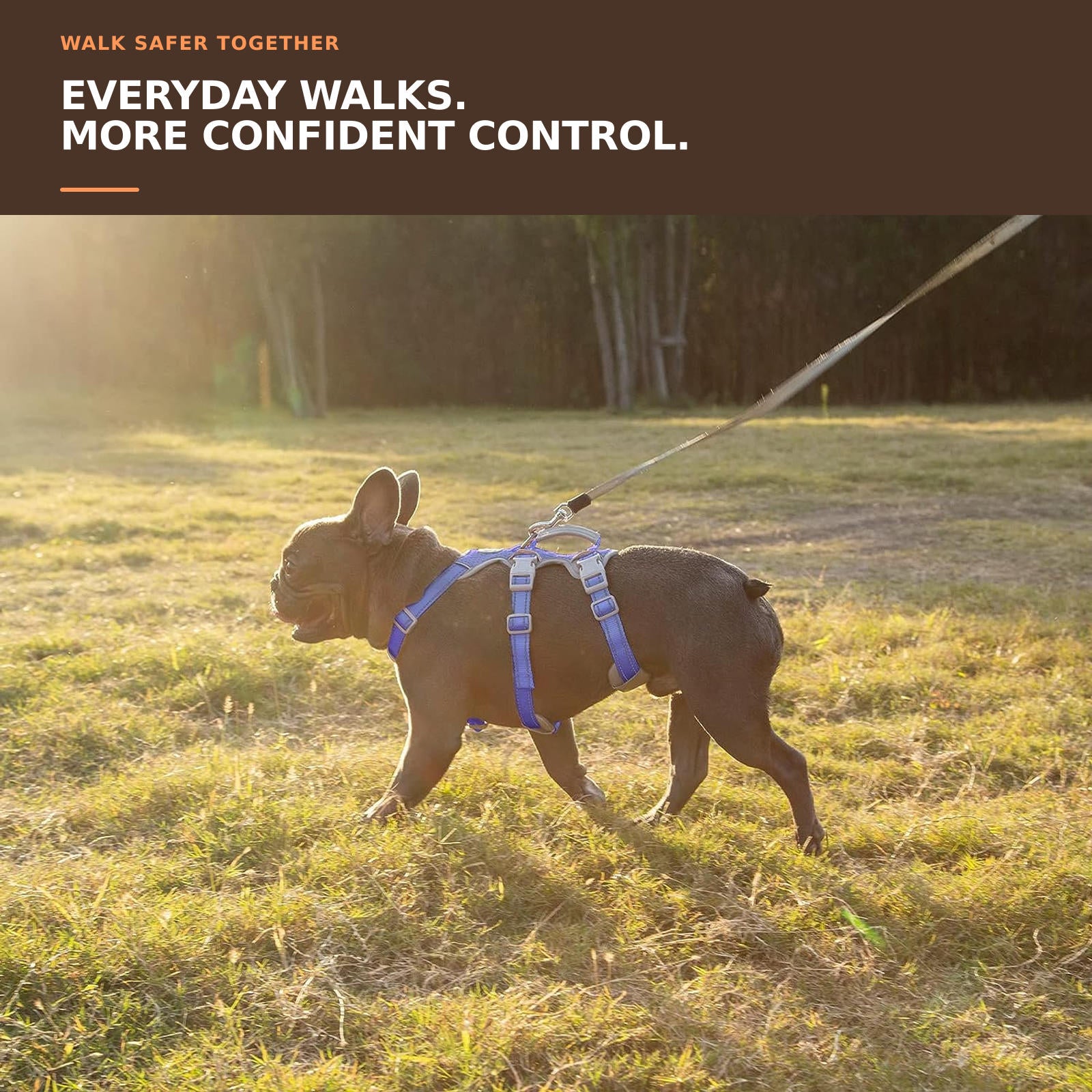 Huntboo HalfGuardian Reflective escape-proof dog harness in tech blue, worn by a dog outdoors #color_tech blue