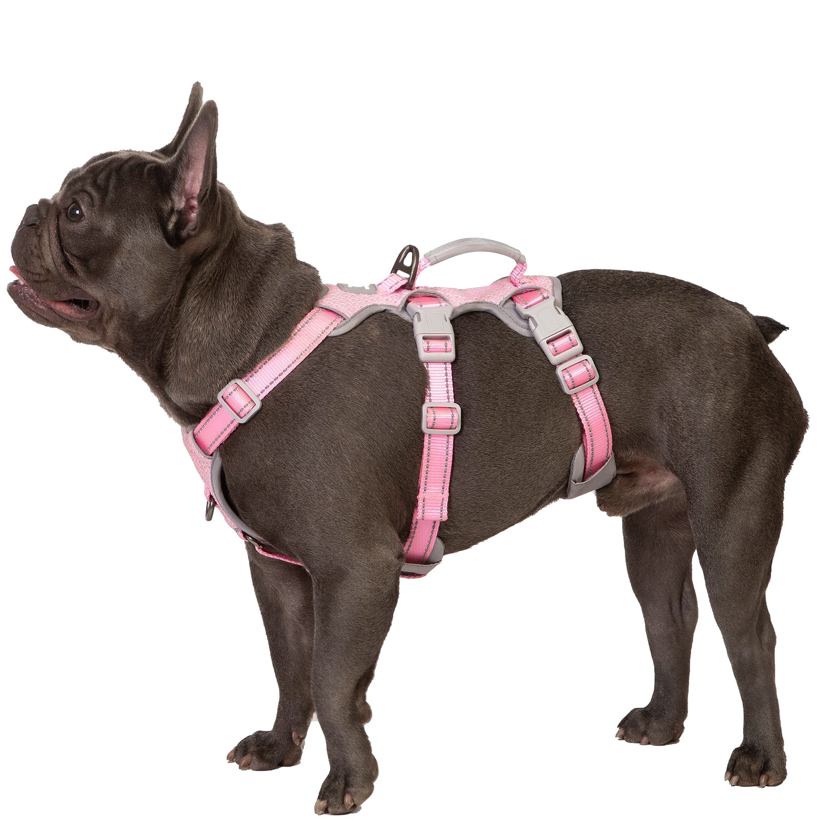 HalfGuardian Reflective Light Pink dog harness alternate product view and strap layout