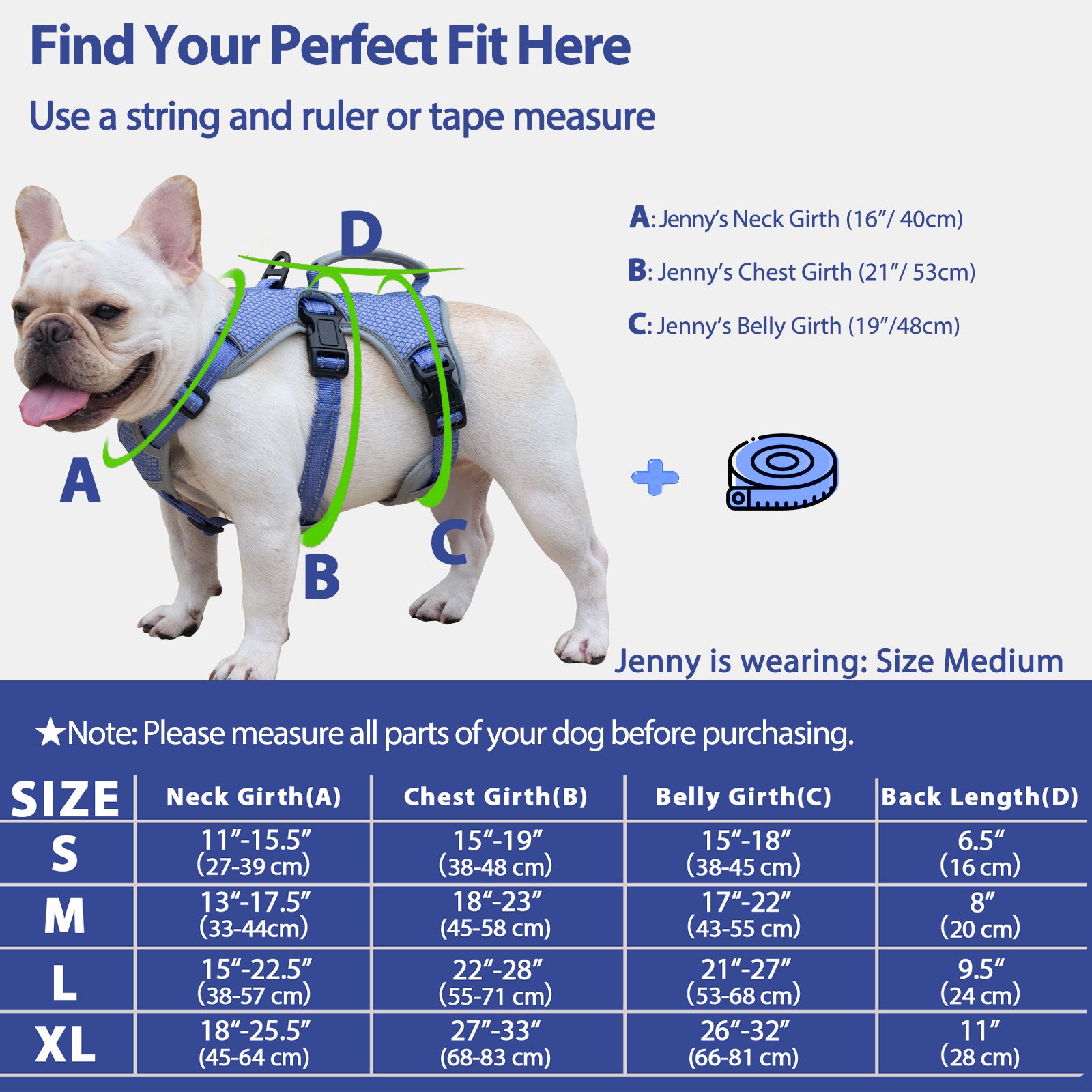 BackSecure Reflective Blue dog harness alternate product view and strap layout