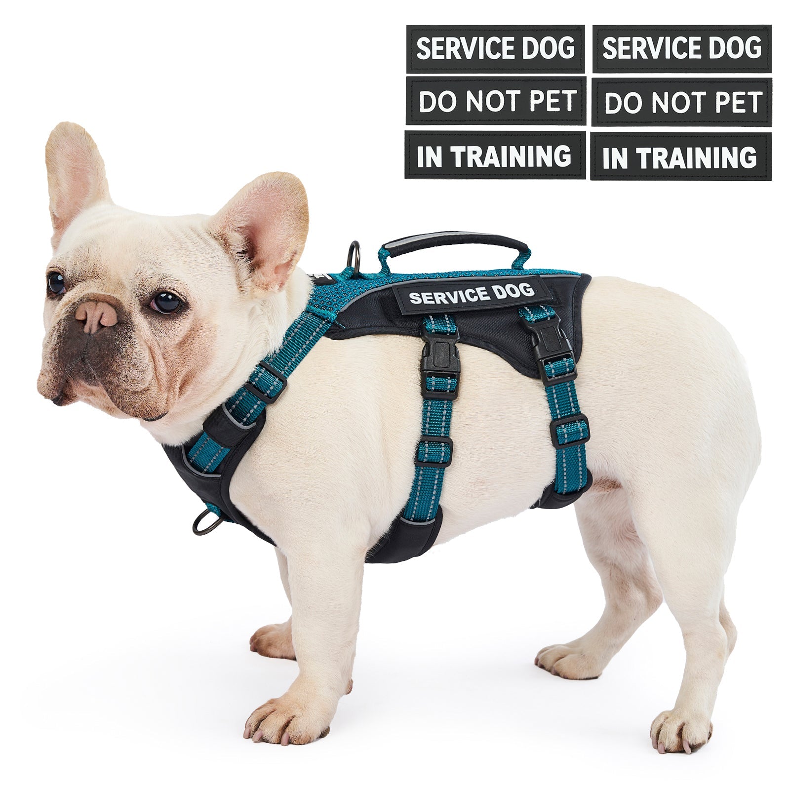 Dog wearing a GuardPatchPro reflective service dog harness vest with patches