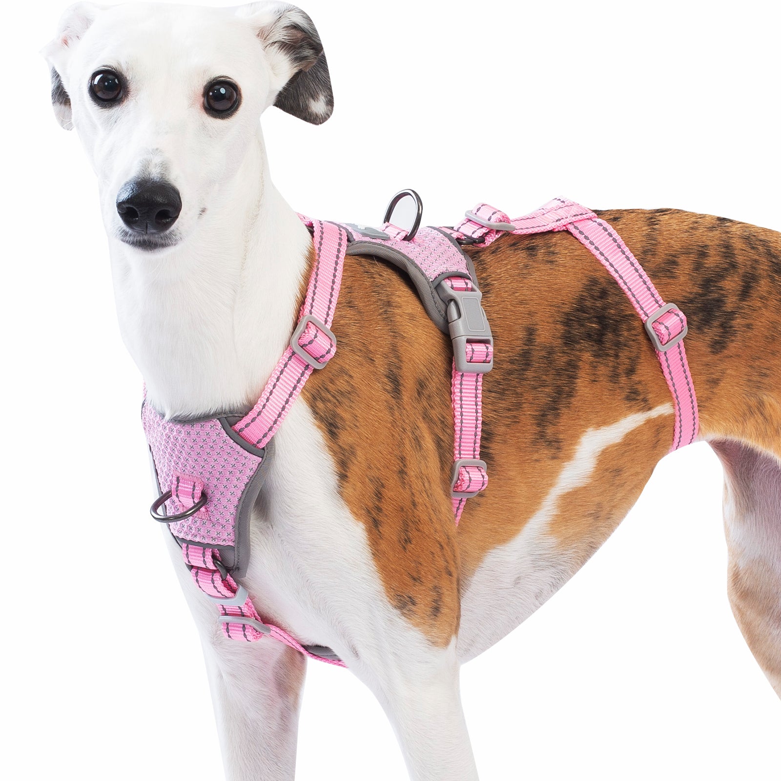 Two-in-OneGuard Reflective Pink dog harness alternate product view and strap layout