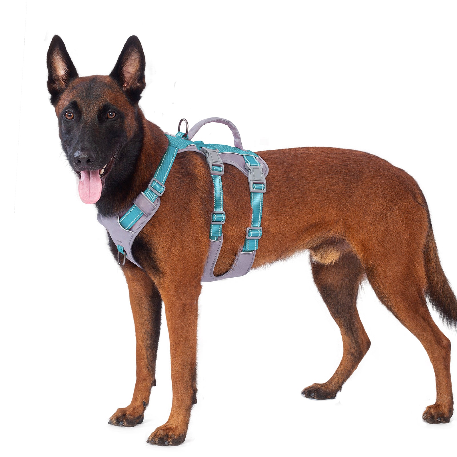 AllShieldPro™ Reflective Dog Harness with Handle Teal Blue