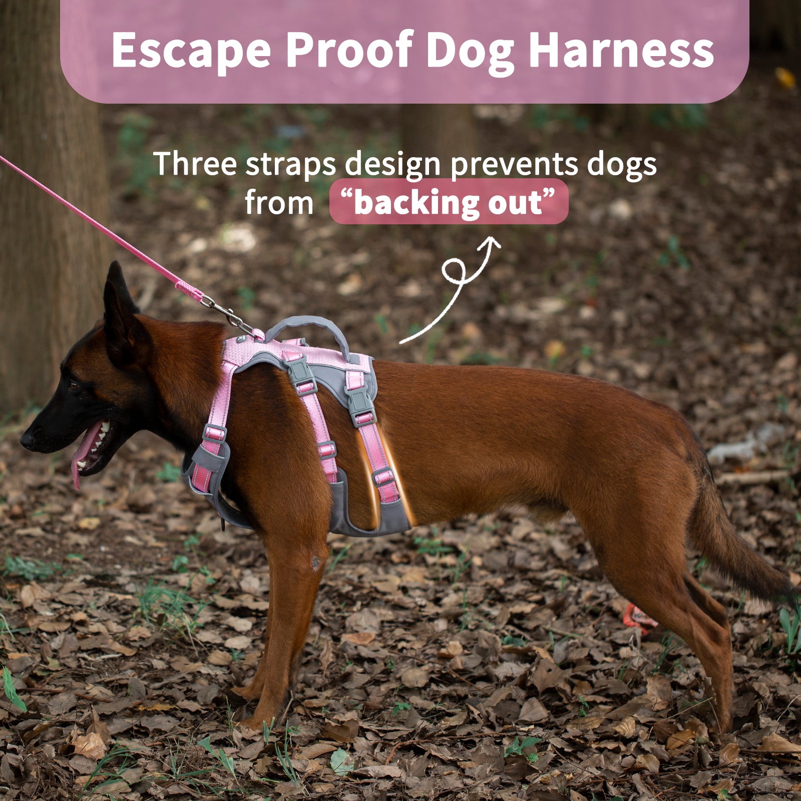 AllShieldPro Reflective Light Pink dog harness adjustable straps and buckle details
