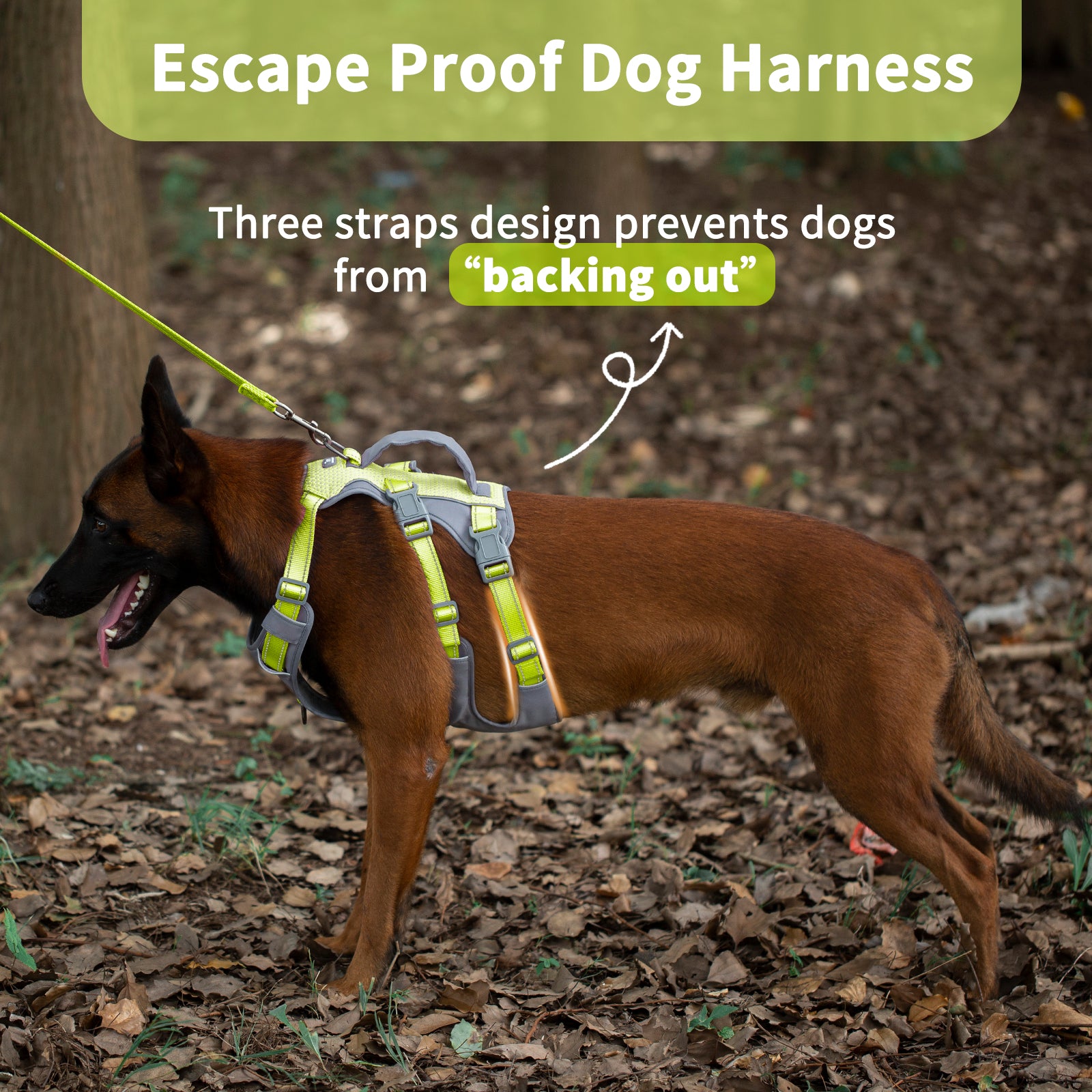 AllShieldPro Reflective Bright Green dog harness adjustable straps and buckle details
