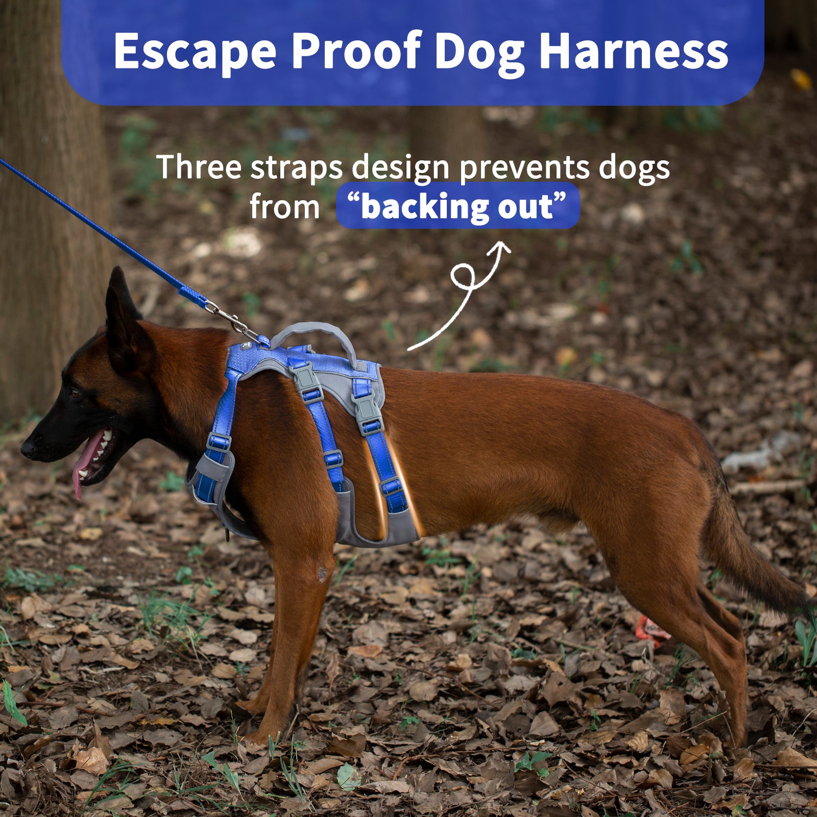 AllShieldPro™ Reflective Dog Harness with Handle  Sea Blue