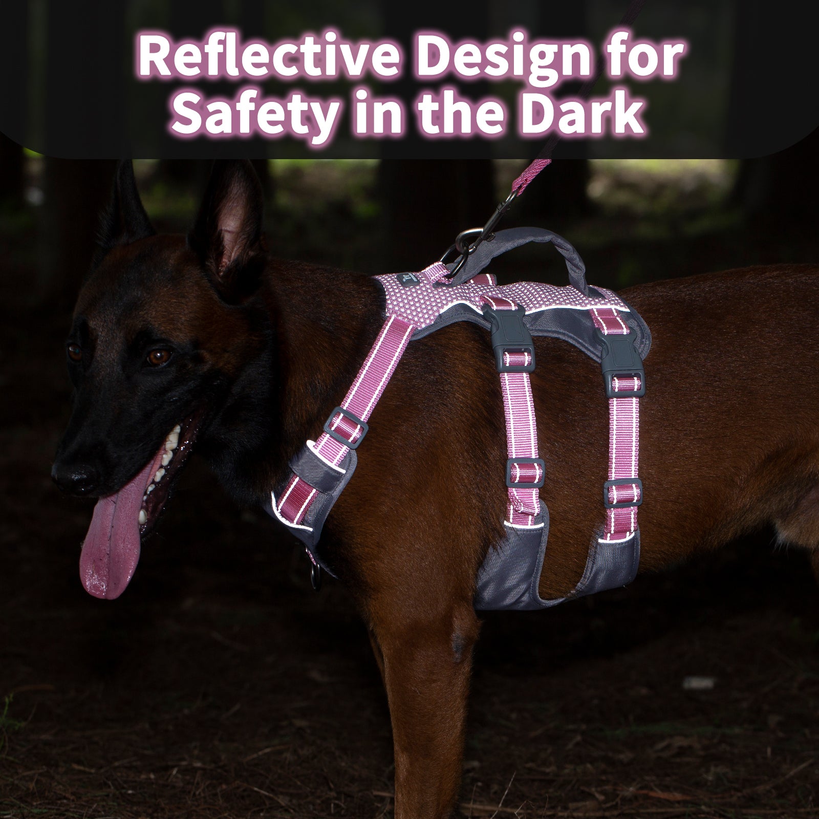 AllShieldPro Reflective Light Pink dog harness handle and leash attachment details