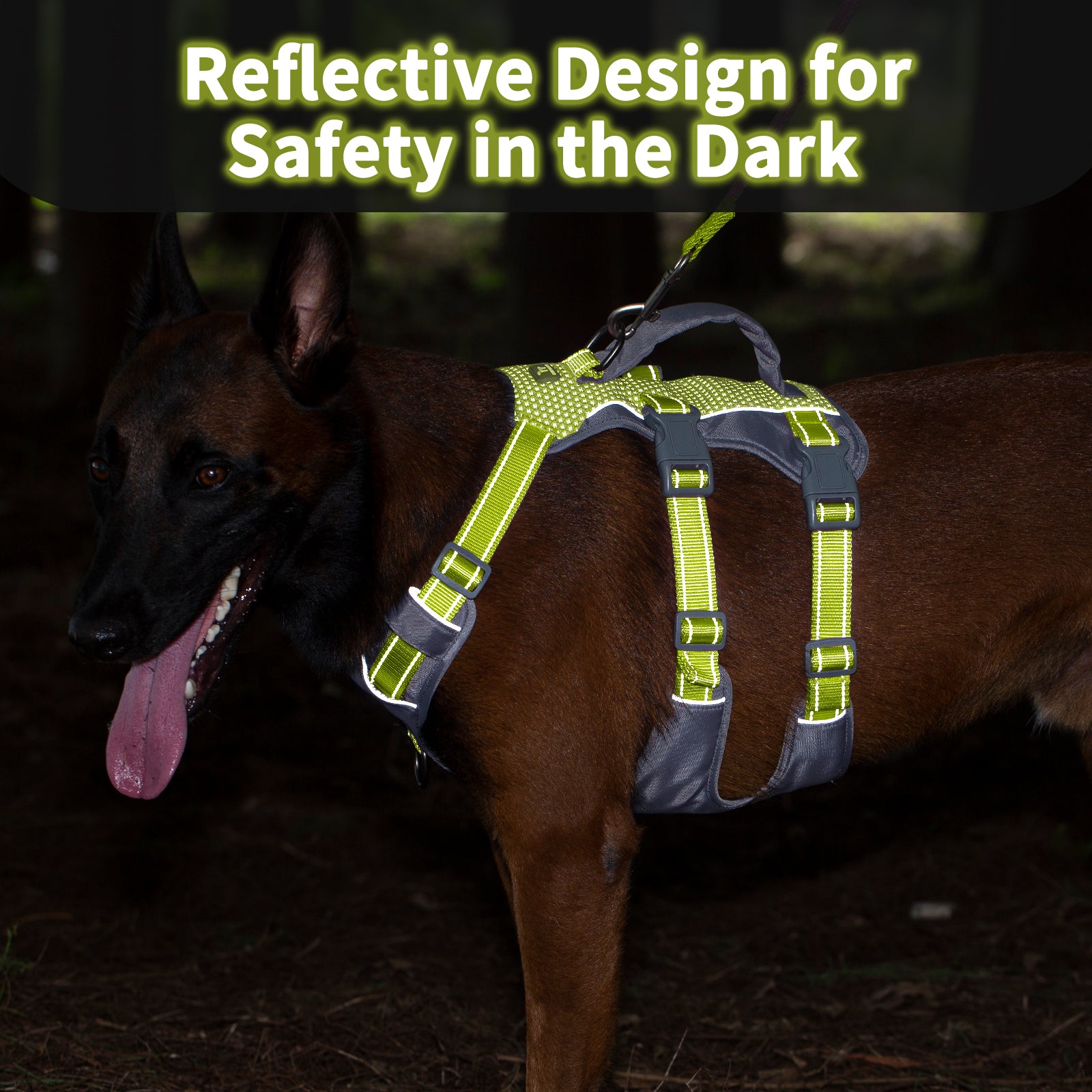AllShieldPro Reflective Bright Green dog harness handle and leash attachment details