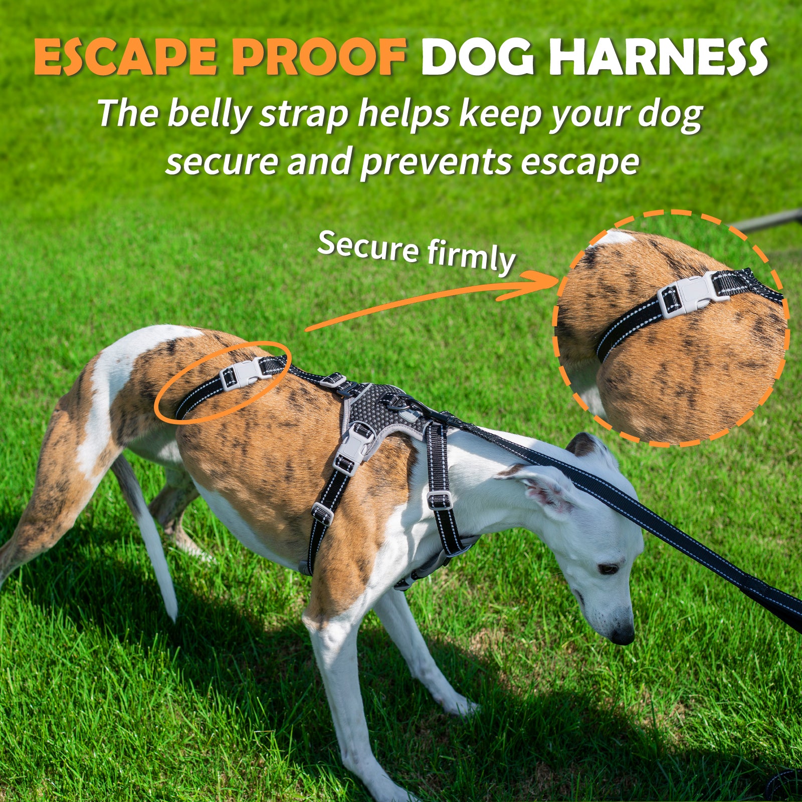HalfGuardian™ Reflective Escape Proof Dog Harness | 2-in-1 H-Shape Design for Comfort & Control– Black