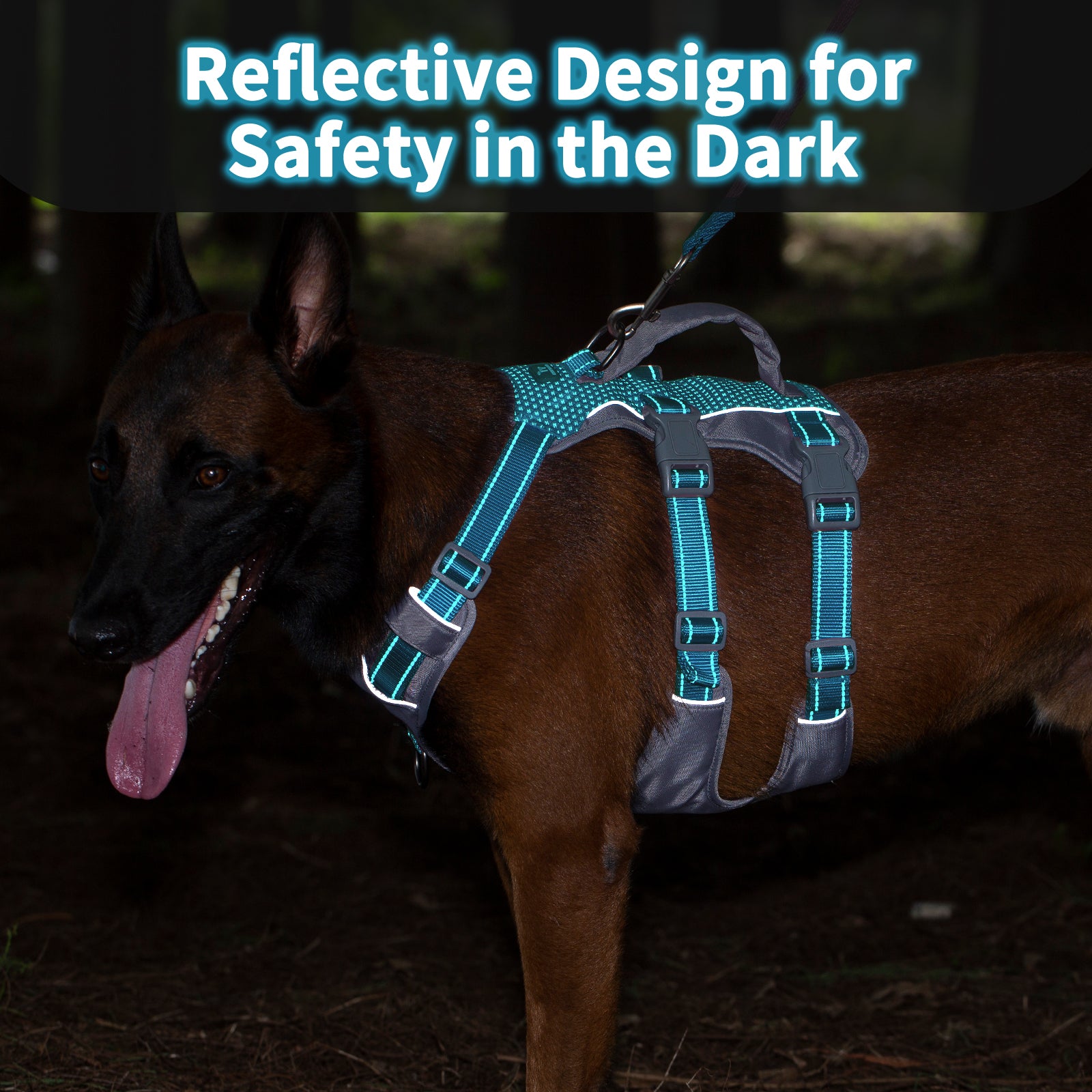 AllShieldPro™ Reflective Dog Harness with Handle Teal Blue