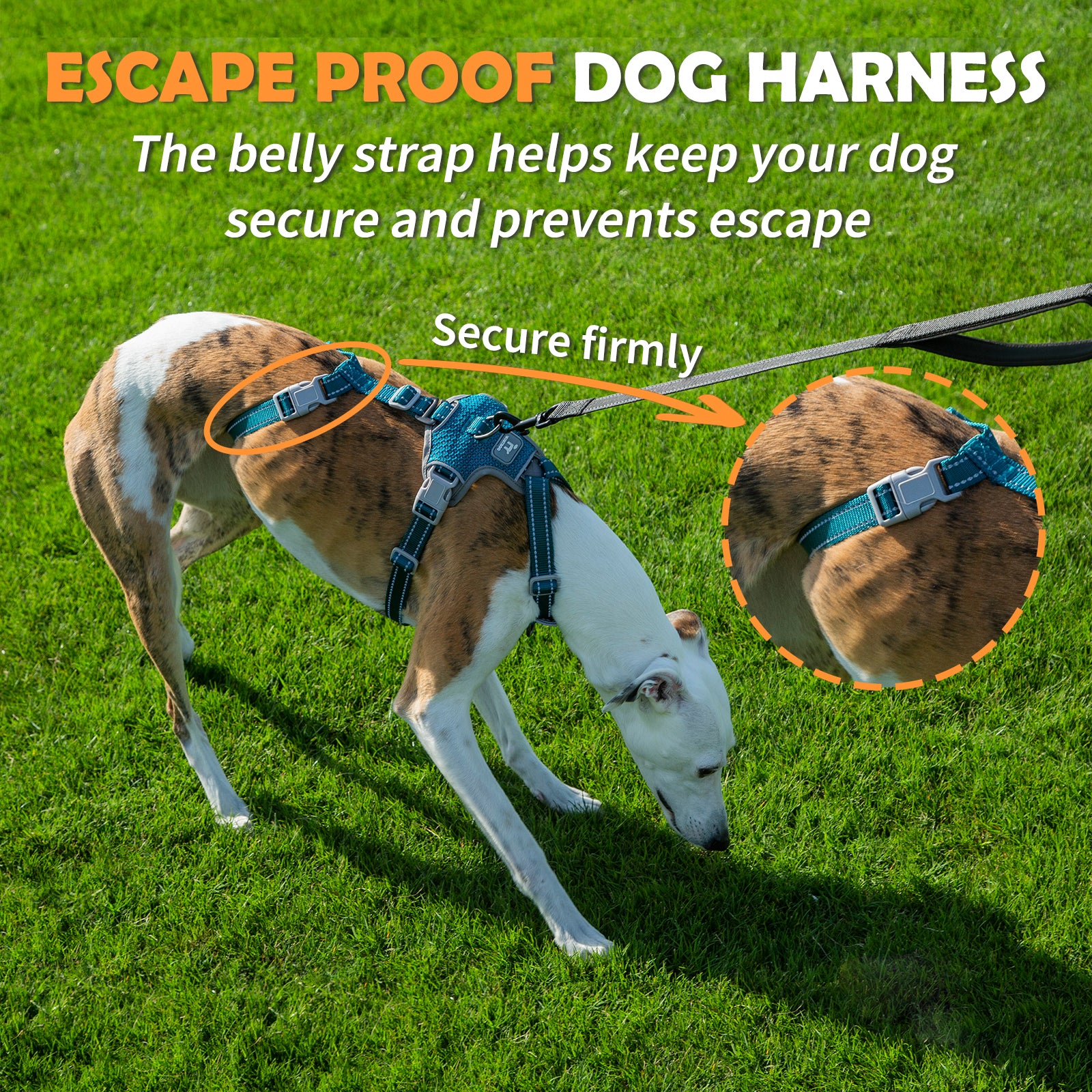 HalfGuardian™ Reflective Escape Proof Dog Harness | 2-in-1 H-Shape Design for Comfort & Control– Teal