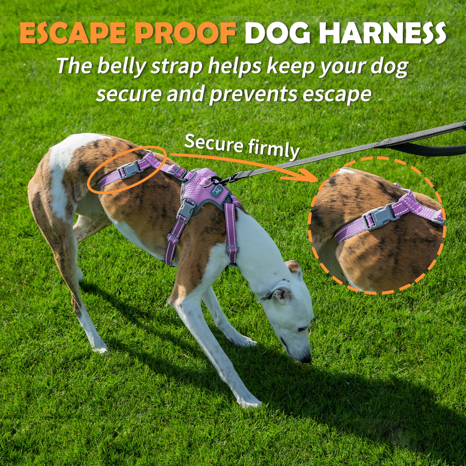 Two-in-OneGuard Reflective Lavender Purple dog harness size and fitting information