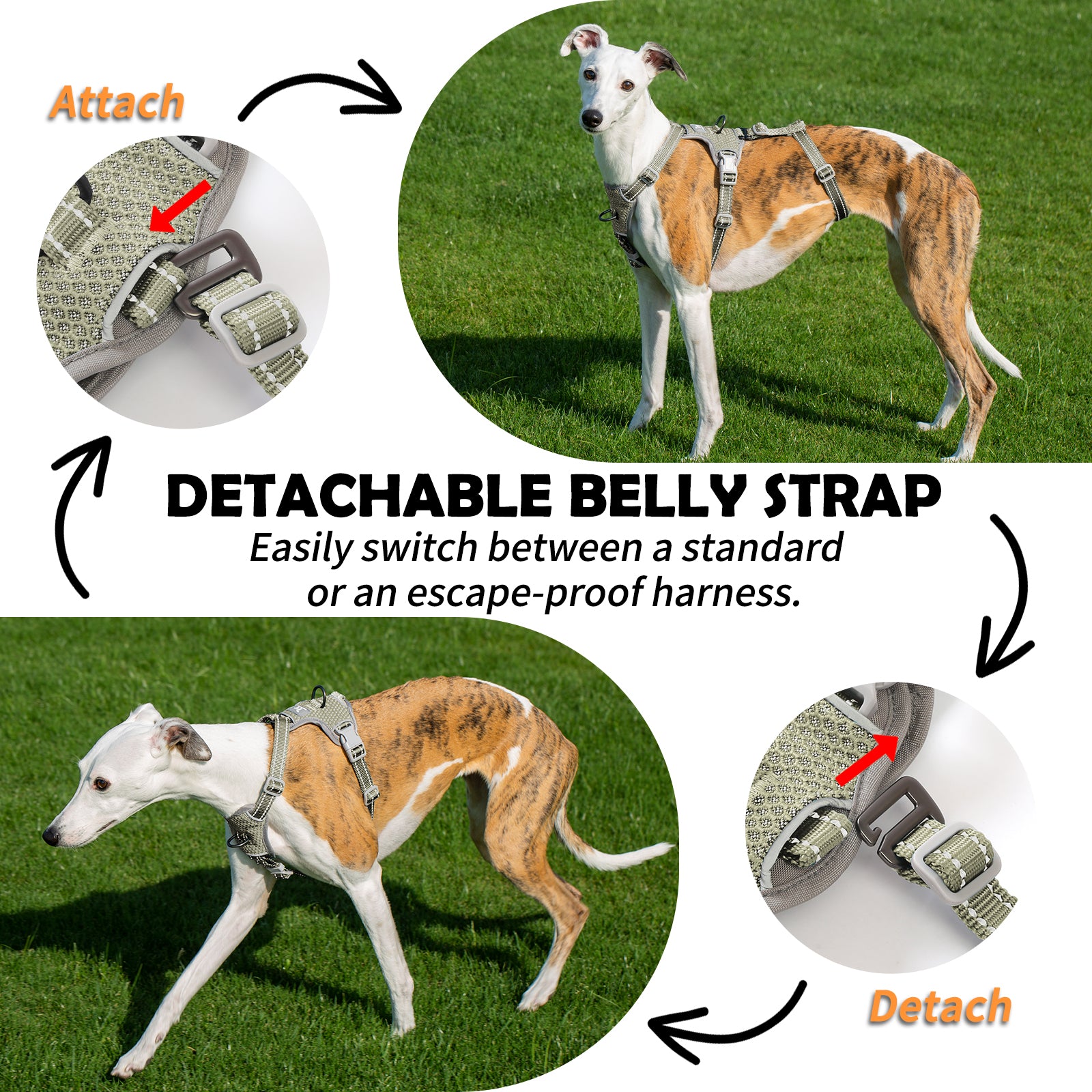 Two-in-OneGuard Reflective Army Green dog harness coverage and fit details