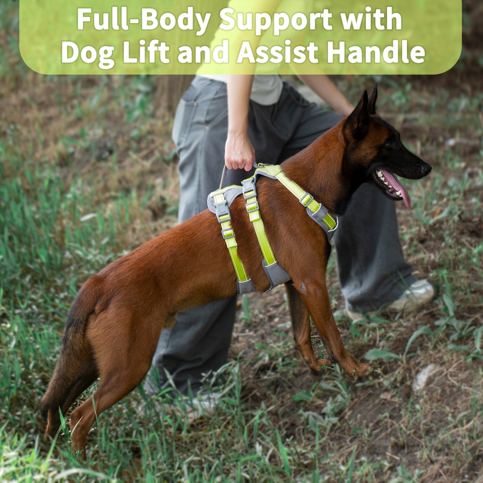 AllShieldPro Reflective Bright Green dog harness padded comfort and breathable construction