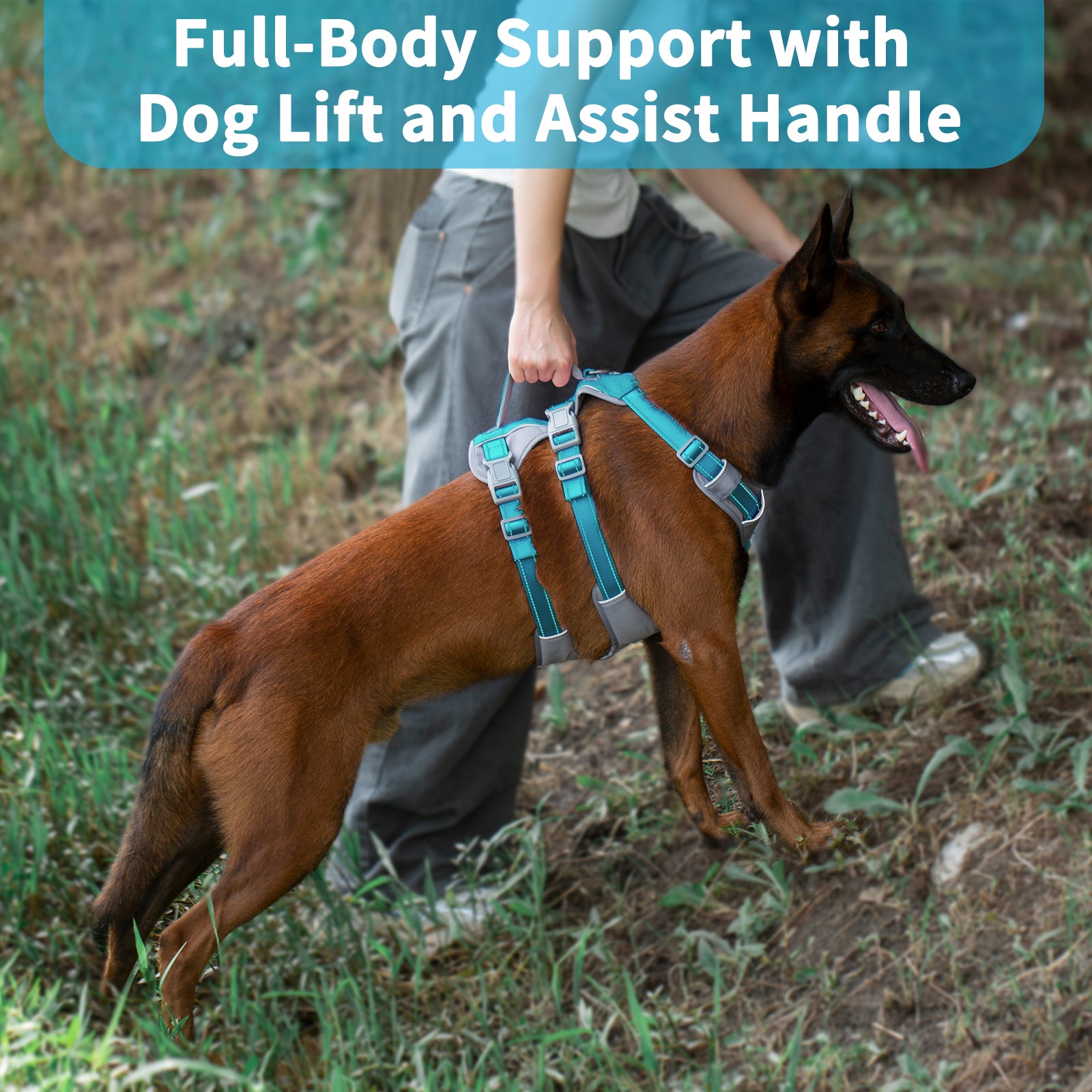 AllShieldPro™ Reflective Dog Harness with Handle Teal Blue