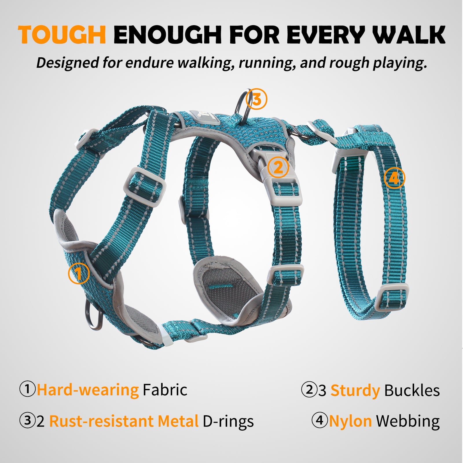 Two-in-OneGuard Reflective Teal dog harness adjustment points and buckle details