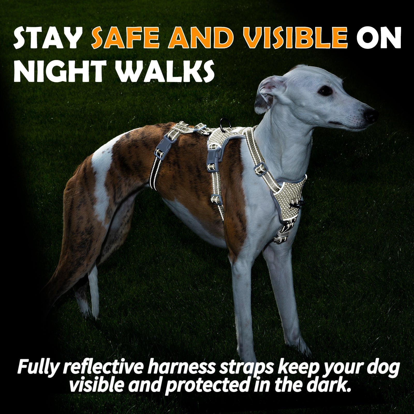 Two-in-OneGuard Reflective Army Green dog harness adjustable straps and buckle details