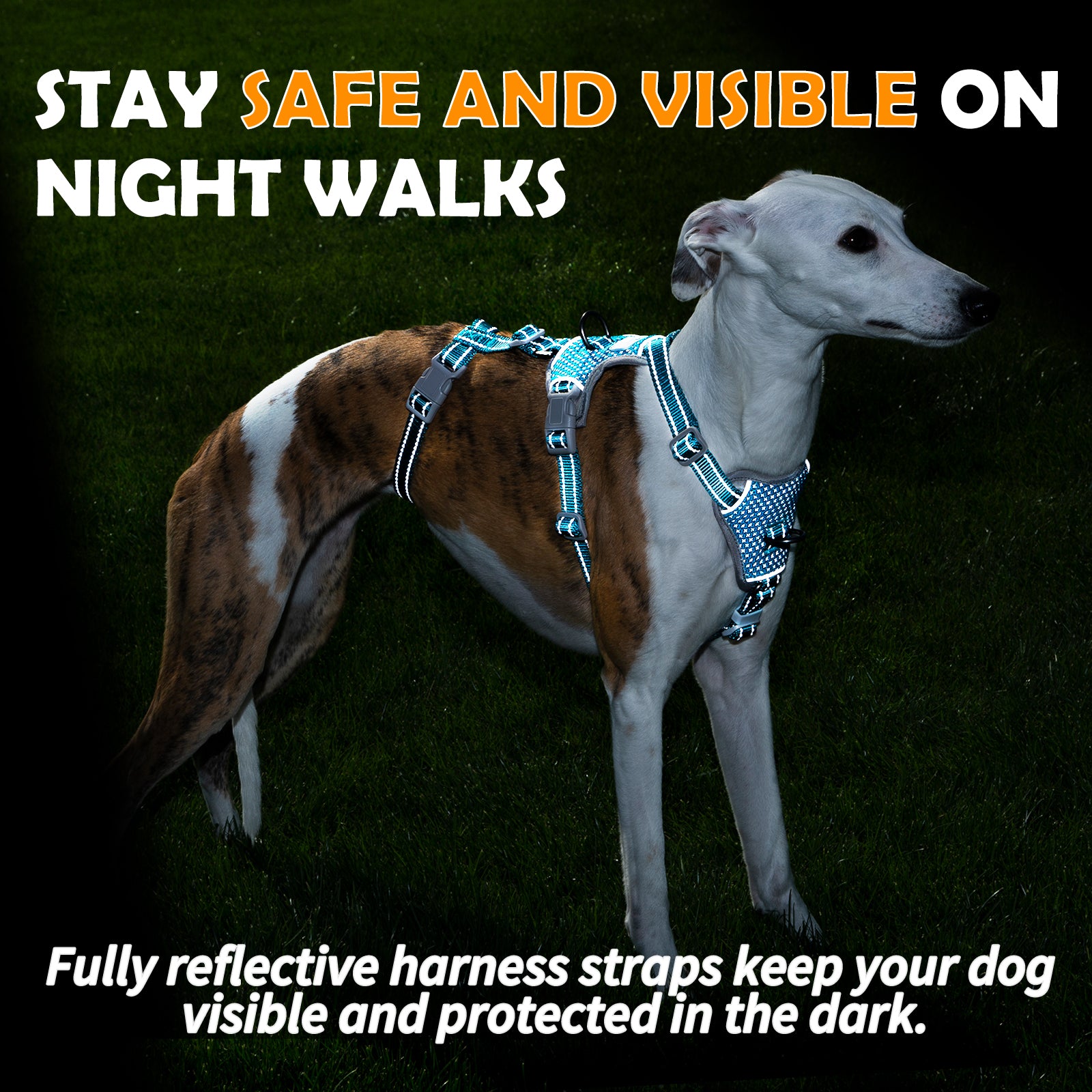 Two-in-OneGuard Reflective Teal dog harness padded comfort and breathable construction