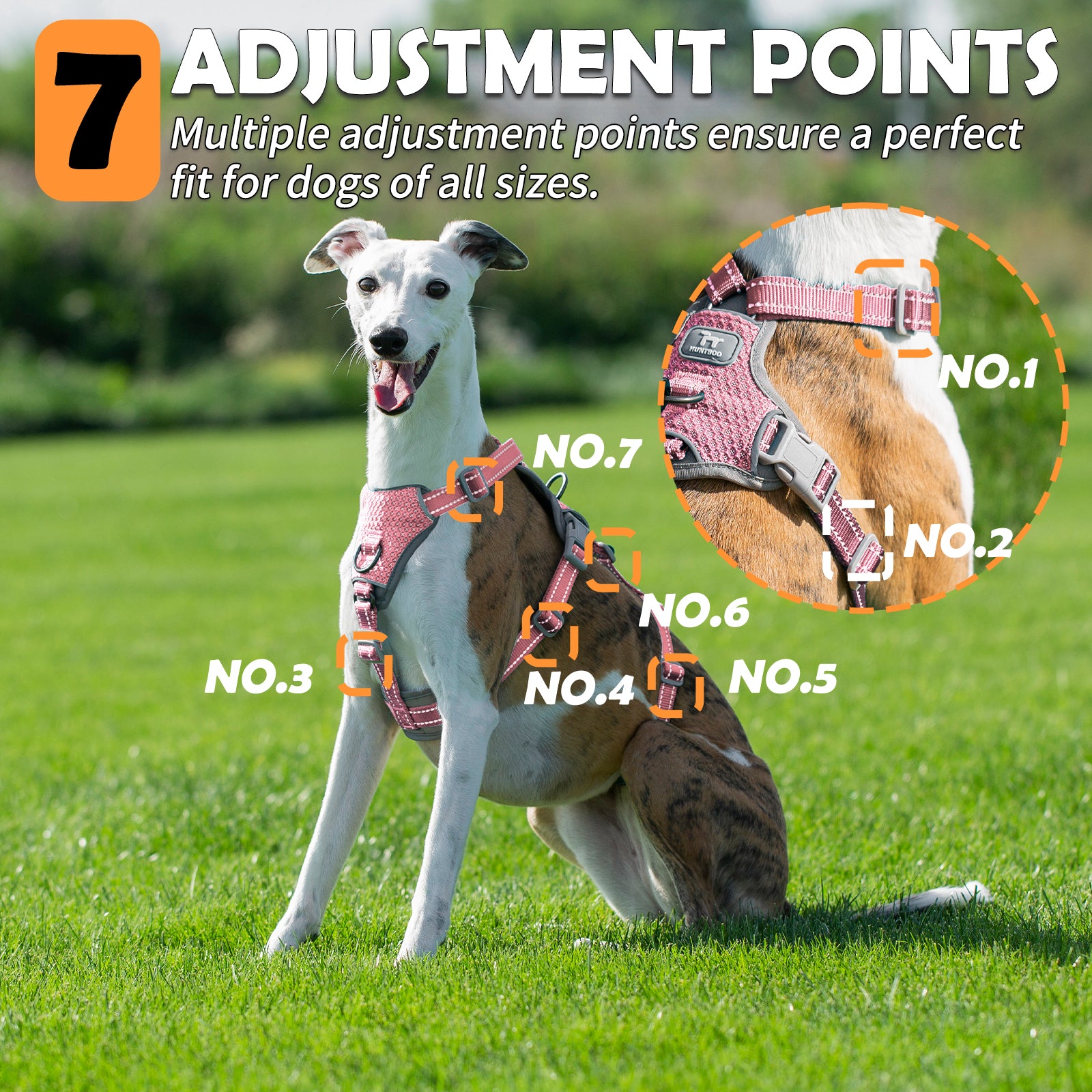 HalfGuardian™ Reflective Escape Proof Dog Harness | 2-in-1 H-Shape Design for Comfort & Control– Pink