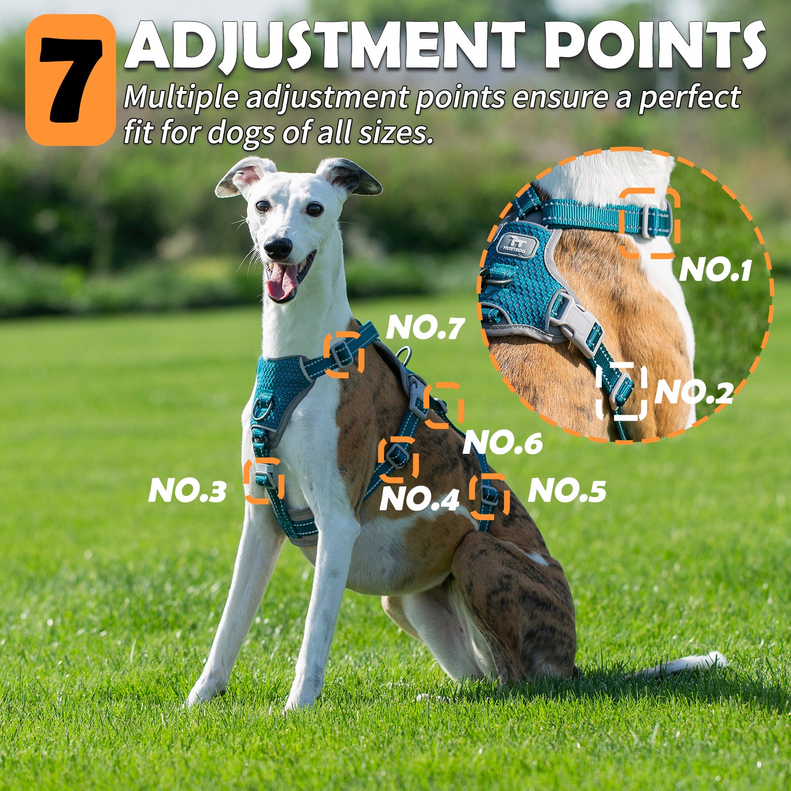 Two-in-OneGuard Reflective Teal dog harness size and fitting information