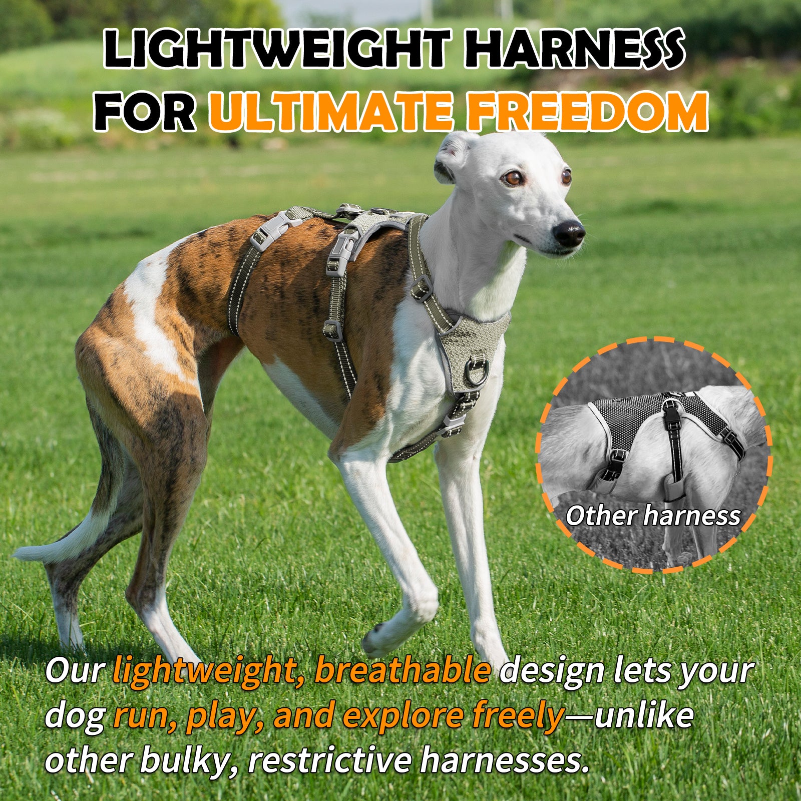 Two-in-OneGuard Reflective Army Green dog harness padded comfort and breathable construction