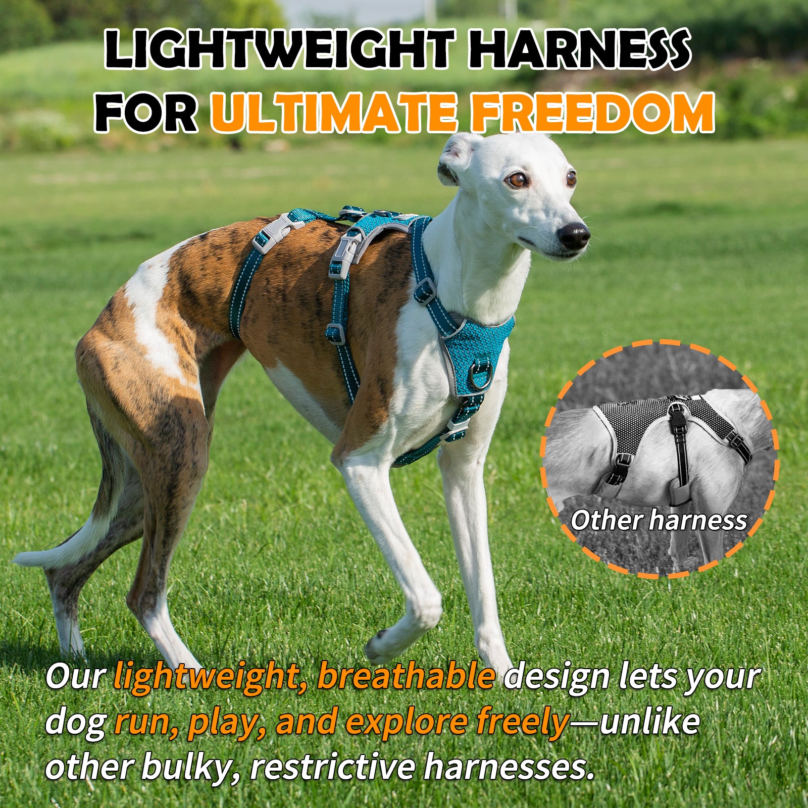 Two-in-OneGuard Reflective Teal dog harness complete product feature overview