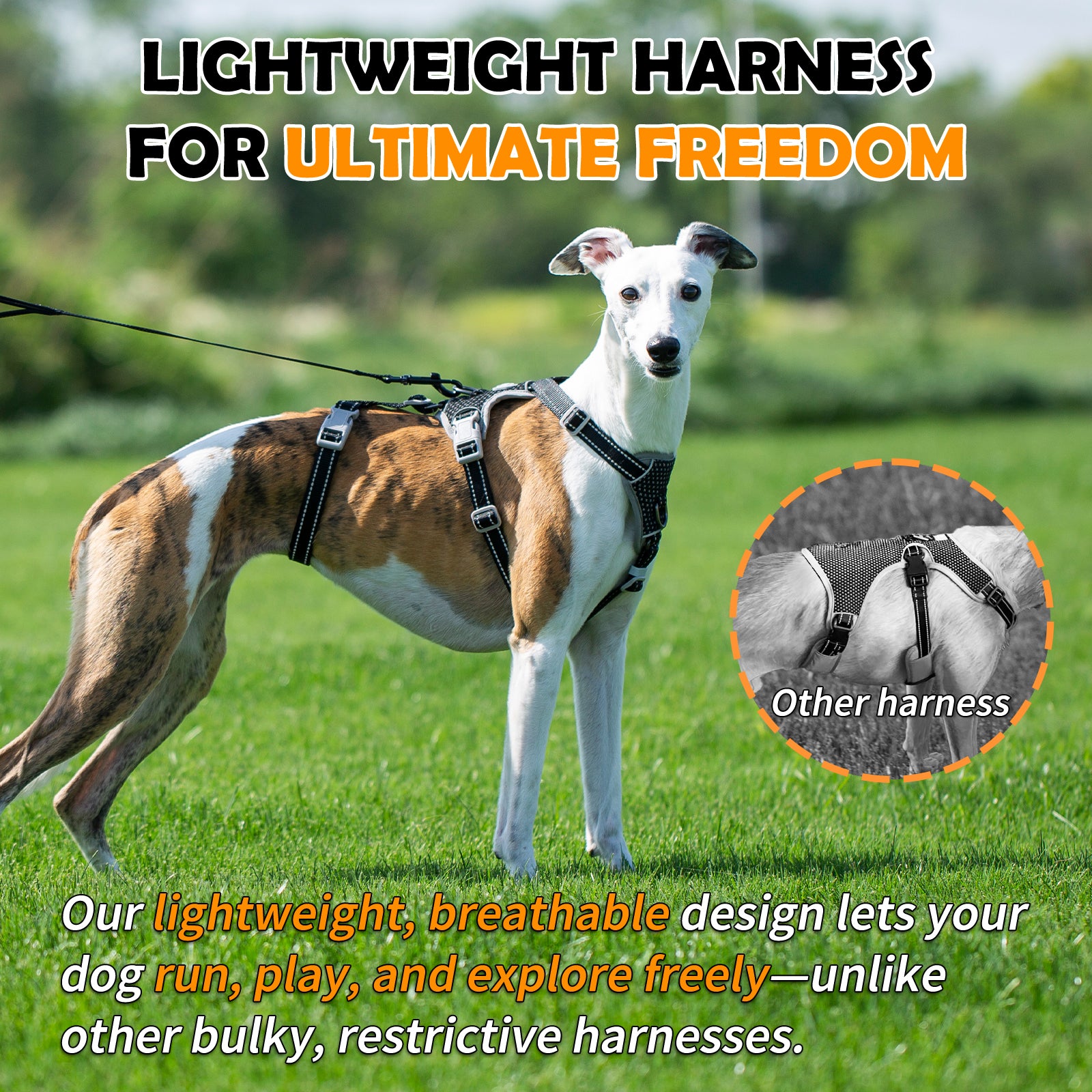 HalfGuardian™ Reflective Escape Proof Dog Harness | 2-in-1 H-Shape Design for Comfort & Control– Black