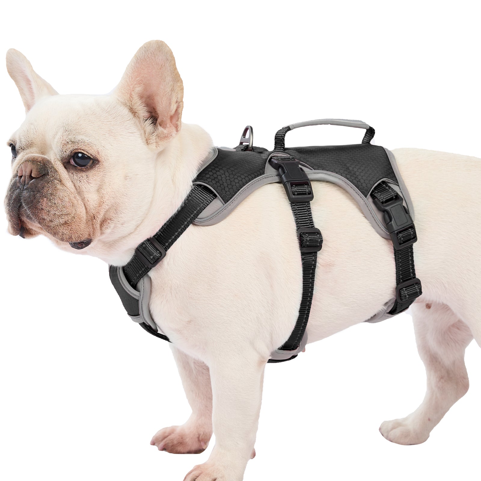 Black BackSecure Dustproof escape-resistant dog harness product image