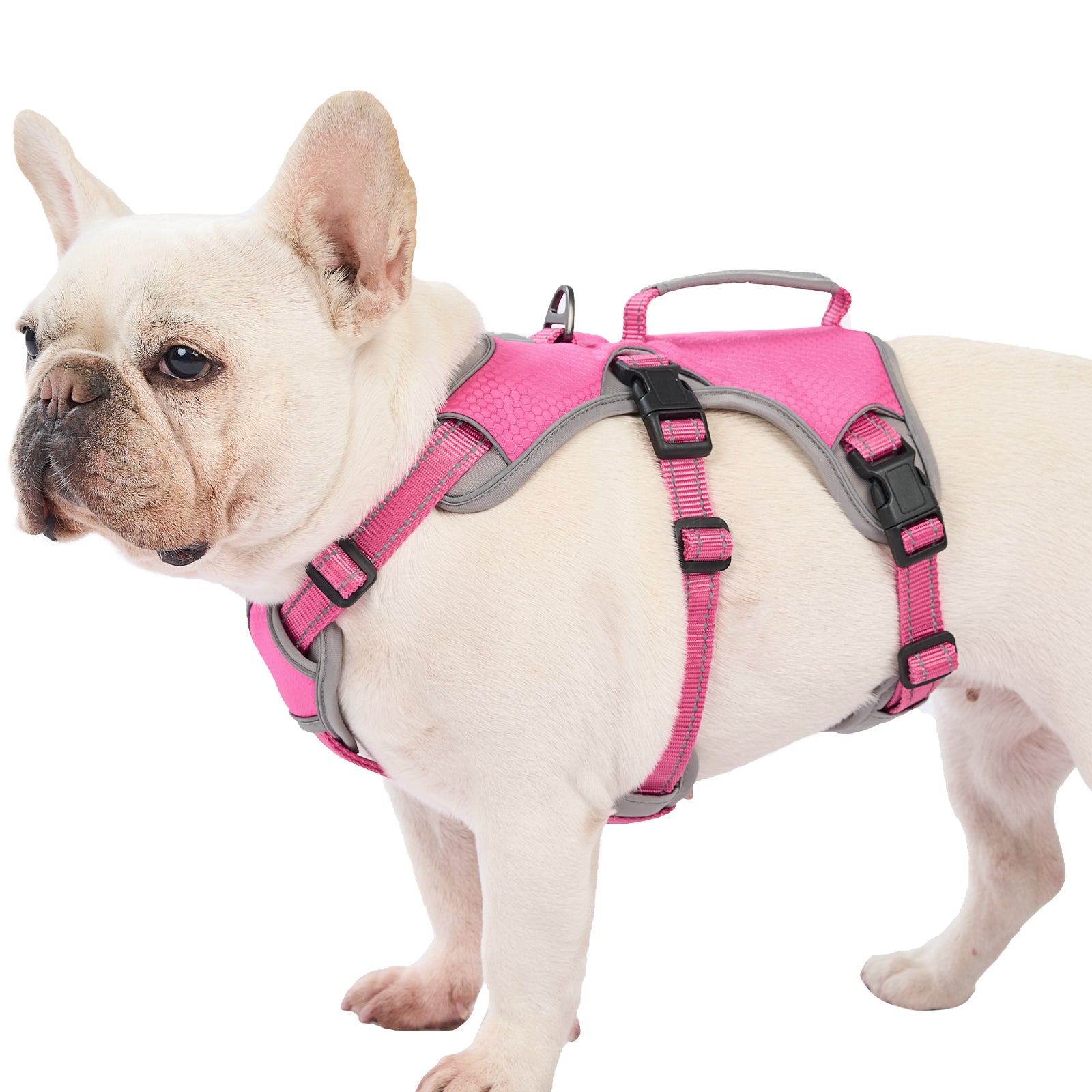 Rose Red BackSecure Dustproof escape-resistant dog harness product image