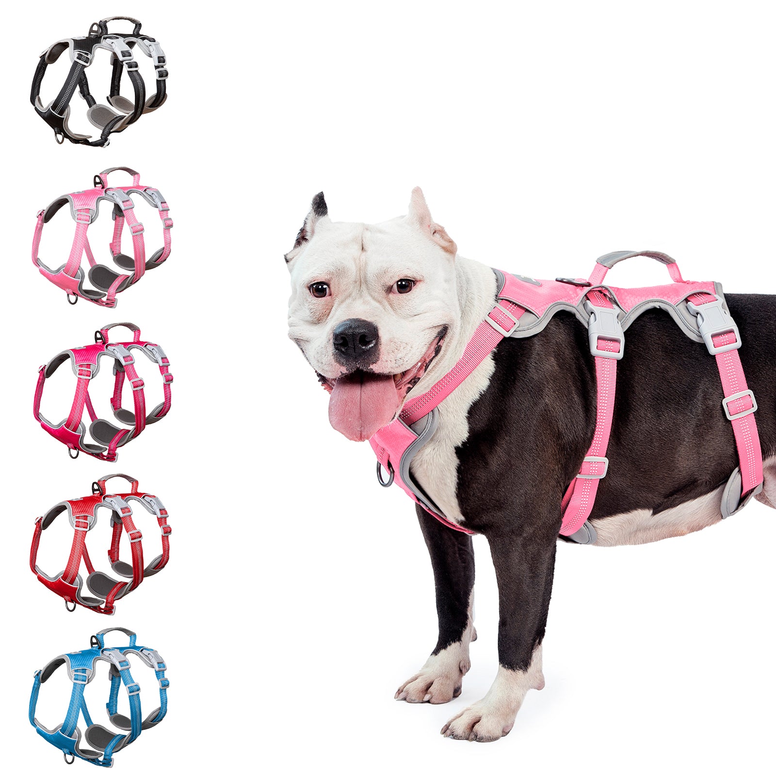 HalfGuardian Dustproof Pink dog harness alternate product view and strap layout