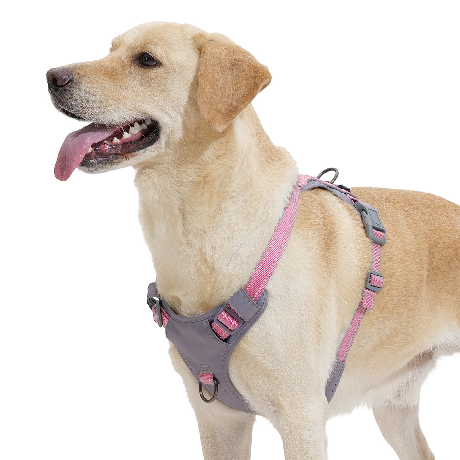 LiteTrail™ Reflective No Pull Dog Harness Pink