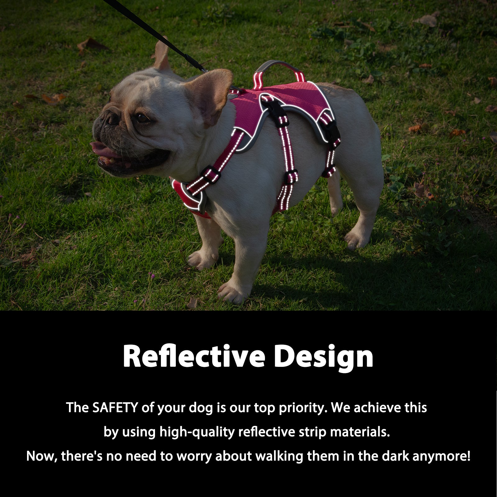BackSecure™ Dustproof Escape Proof Dog Harness Rose Red