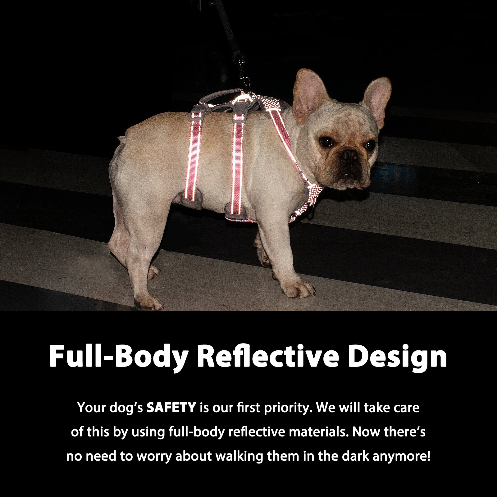 HalfGuardian Reflective Lavender Purple dog harness adjustable straps and buckle details