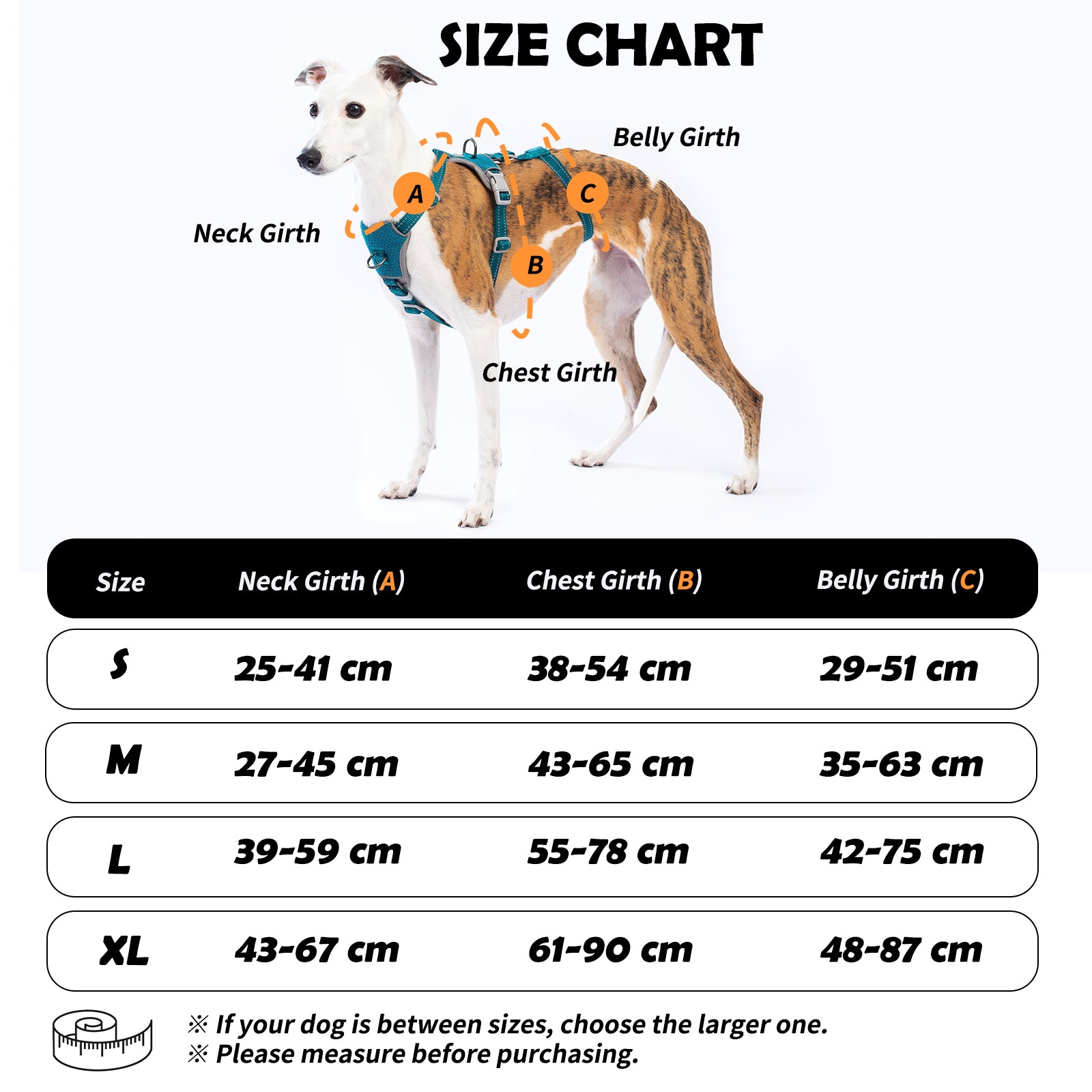 Two-in-OneGuard Reflective Teal dog harness coverage and fit details