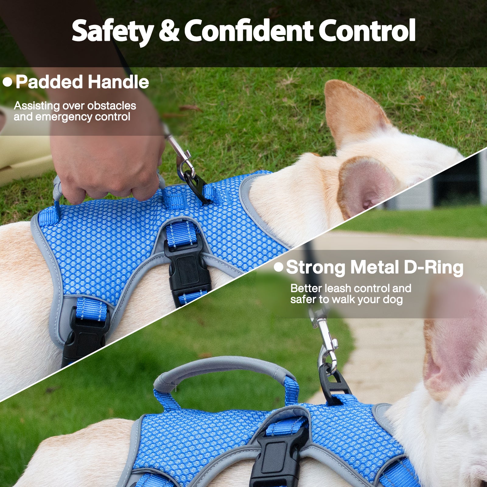 BackSecure Reflective Sea Blue dog harness adjustable straps and buckle details