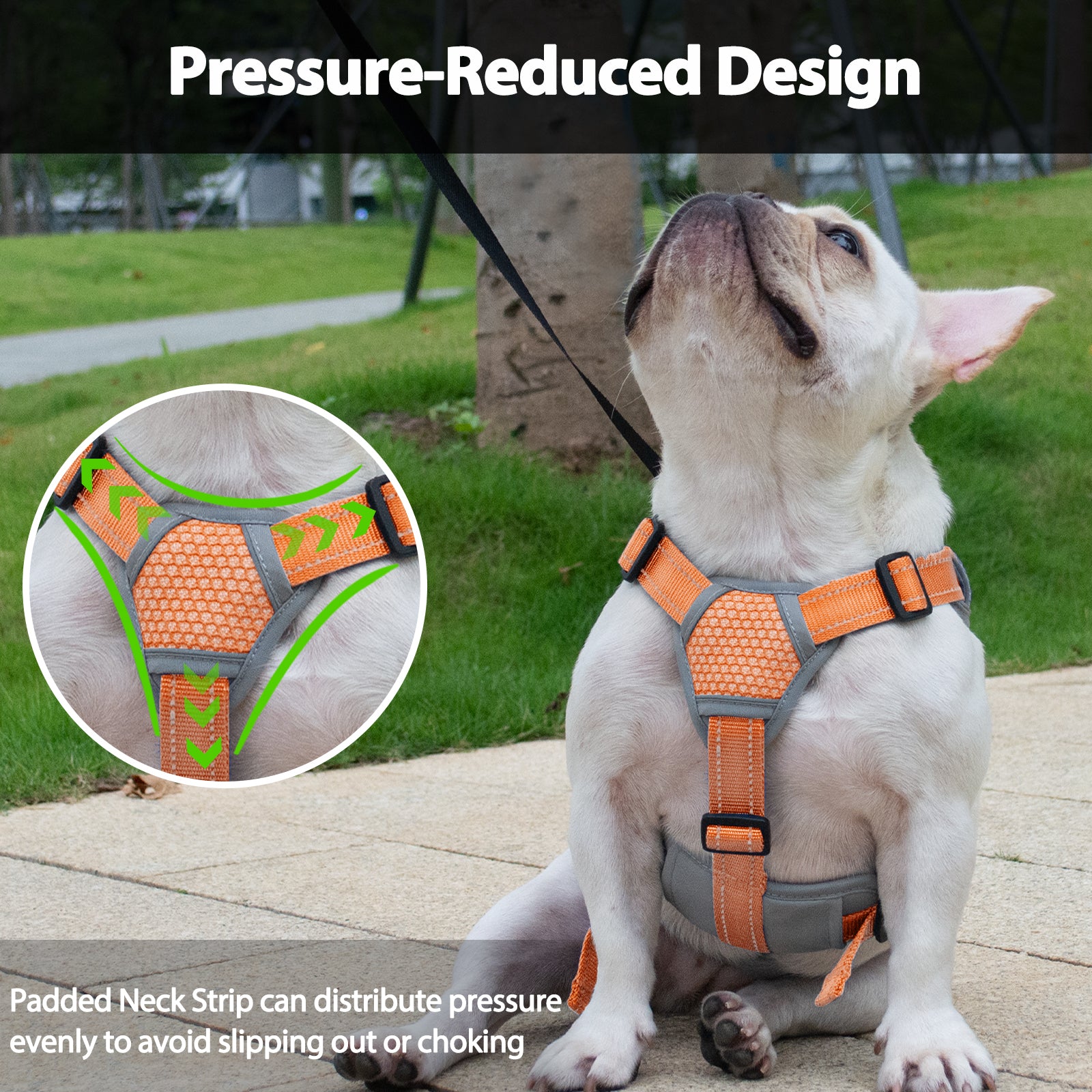 BackSecure Reflective Orange dog harness adjustable straps and buckle details
