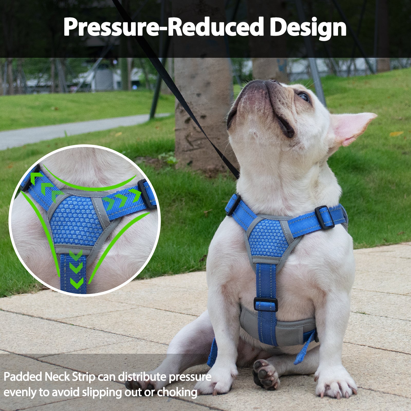 BackSecure Reflective Sea Blue dog harness handle and leash attachment details