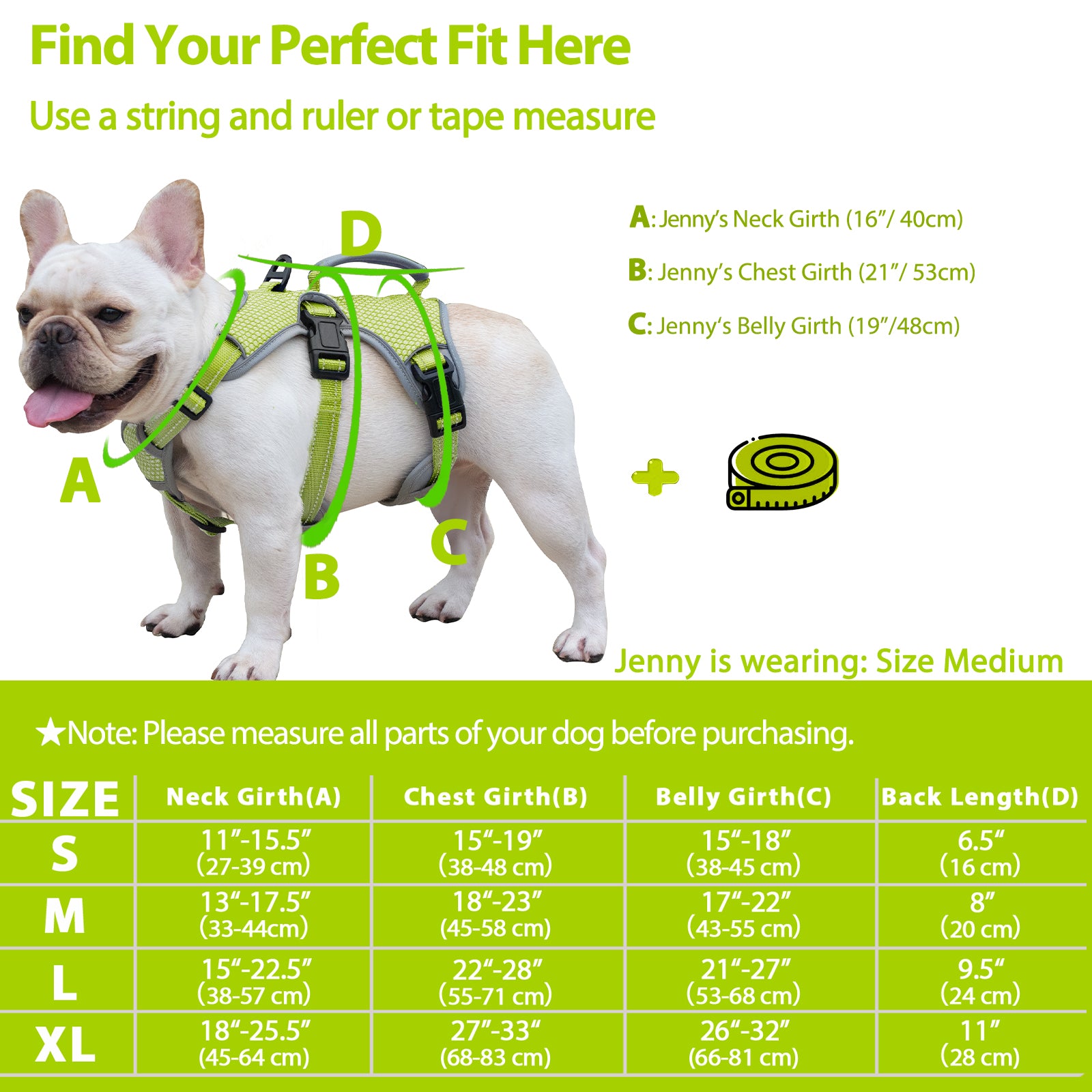 BackSecure Reflective Green dog harness alternate product view and strap layout