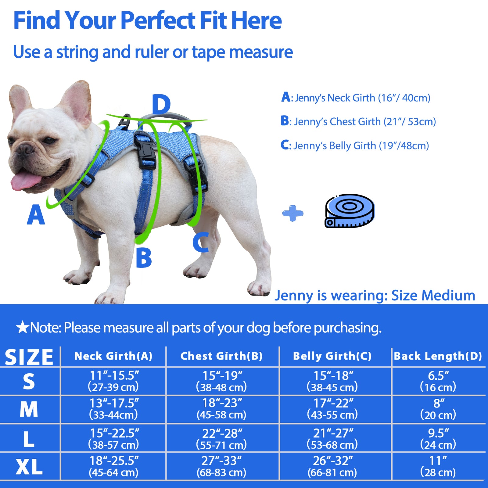 BackSecure Reflective Sea Blue dog harness alternate product view and strap layout