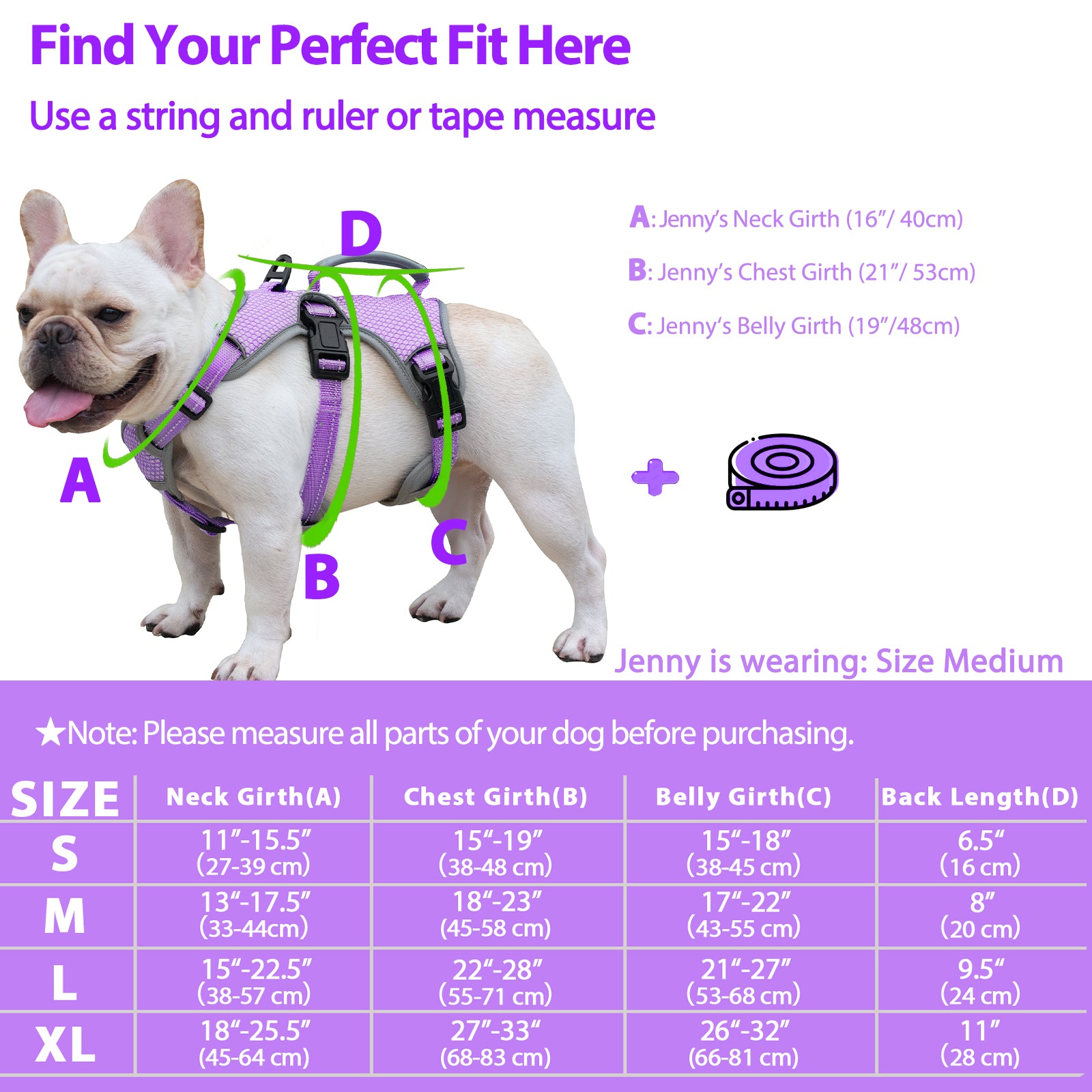 BackSecure Reflective Lavender Purple dog harness alternate product view and strap layout