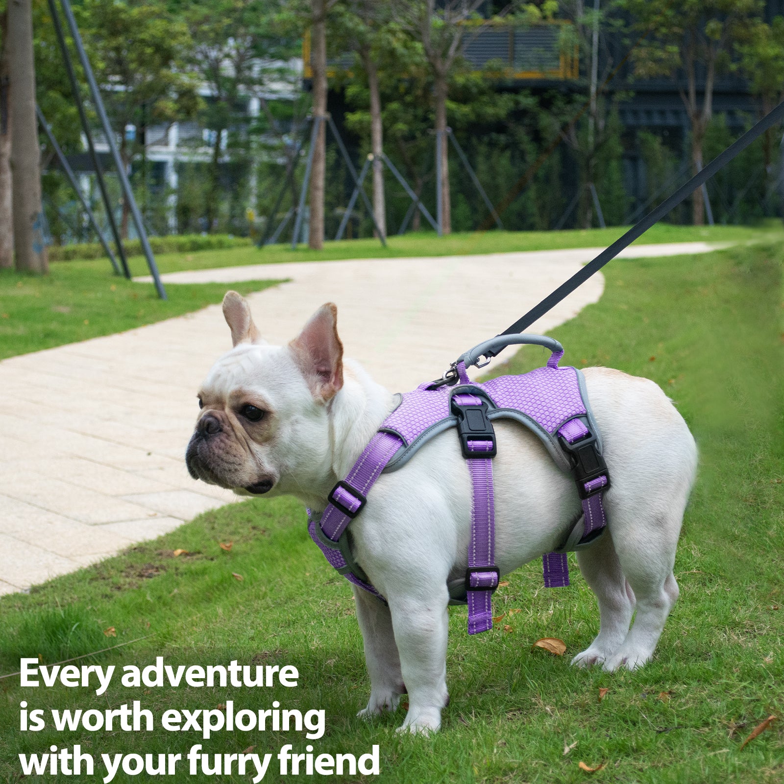 BackSecure Reflective Lavender Purple dog harness padded comfort and breathable construction
