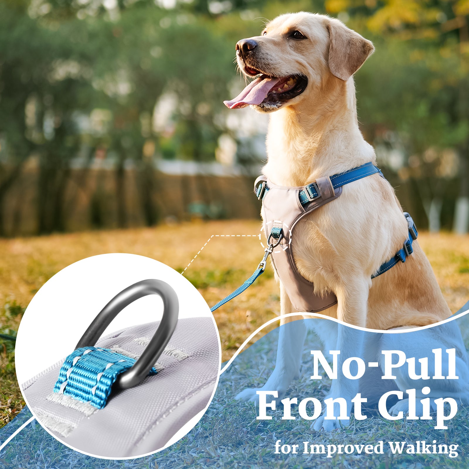 LiteTrail™ Reflective No Pull Dog Harness Teal Blue