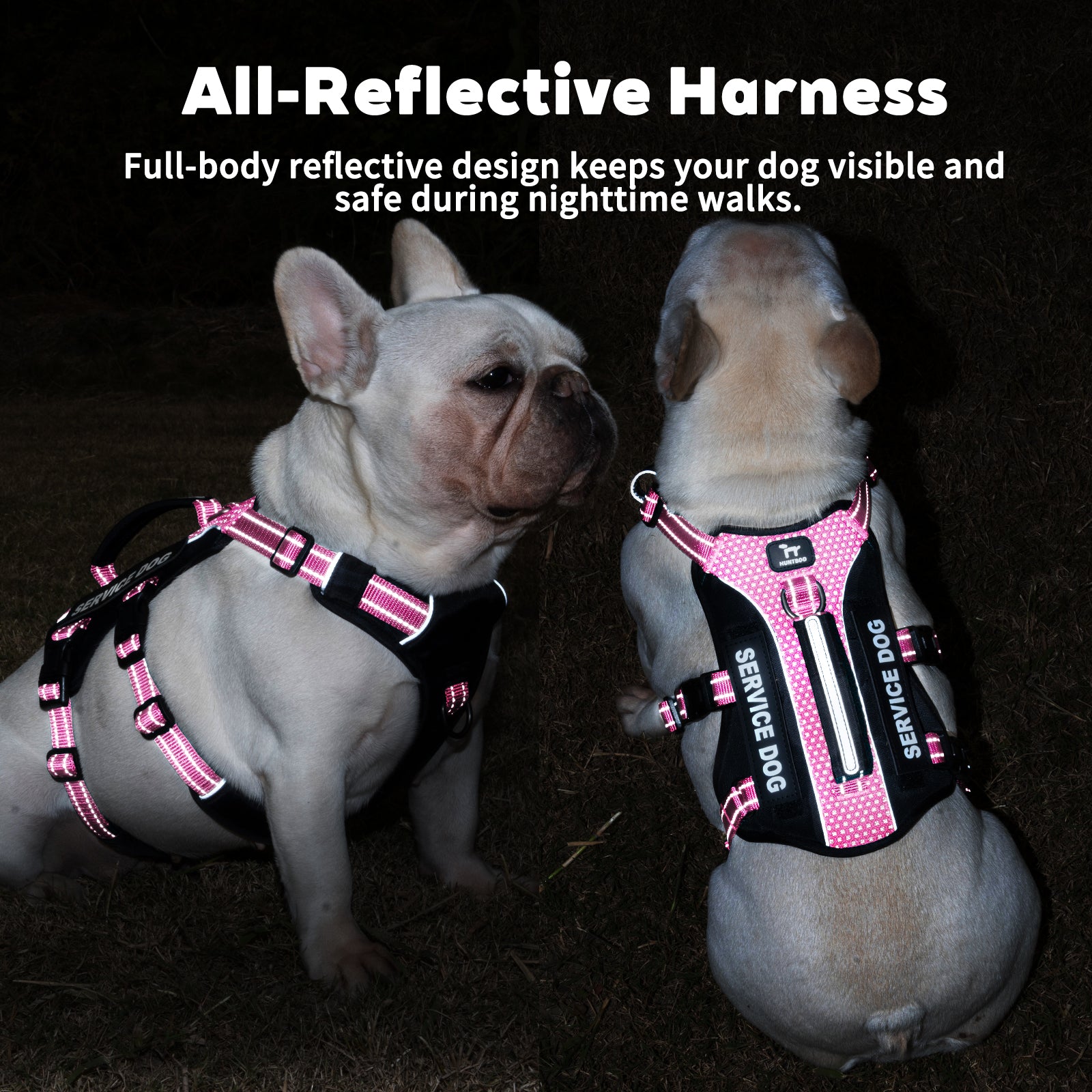 GuardPatchPro Reflective dog harness handle and leash attachment details