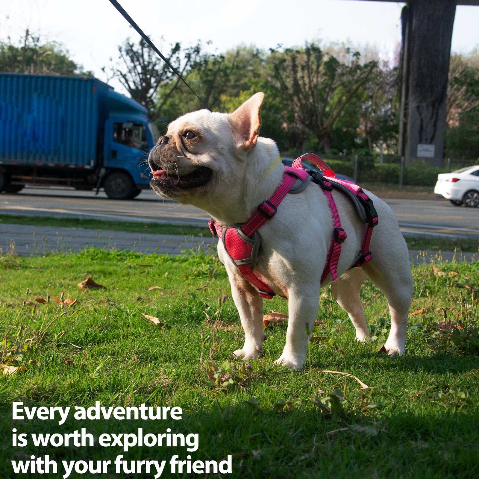 BackSecure™ Dustproof Escape Proof Dog Harness Rose Red
