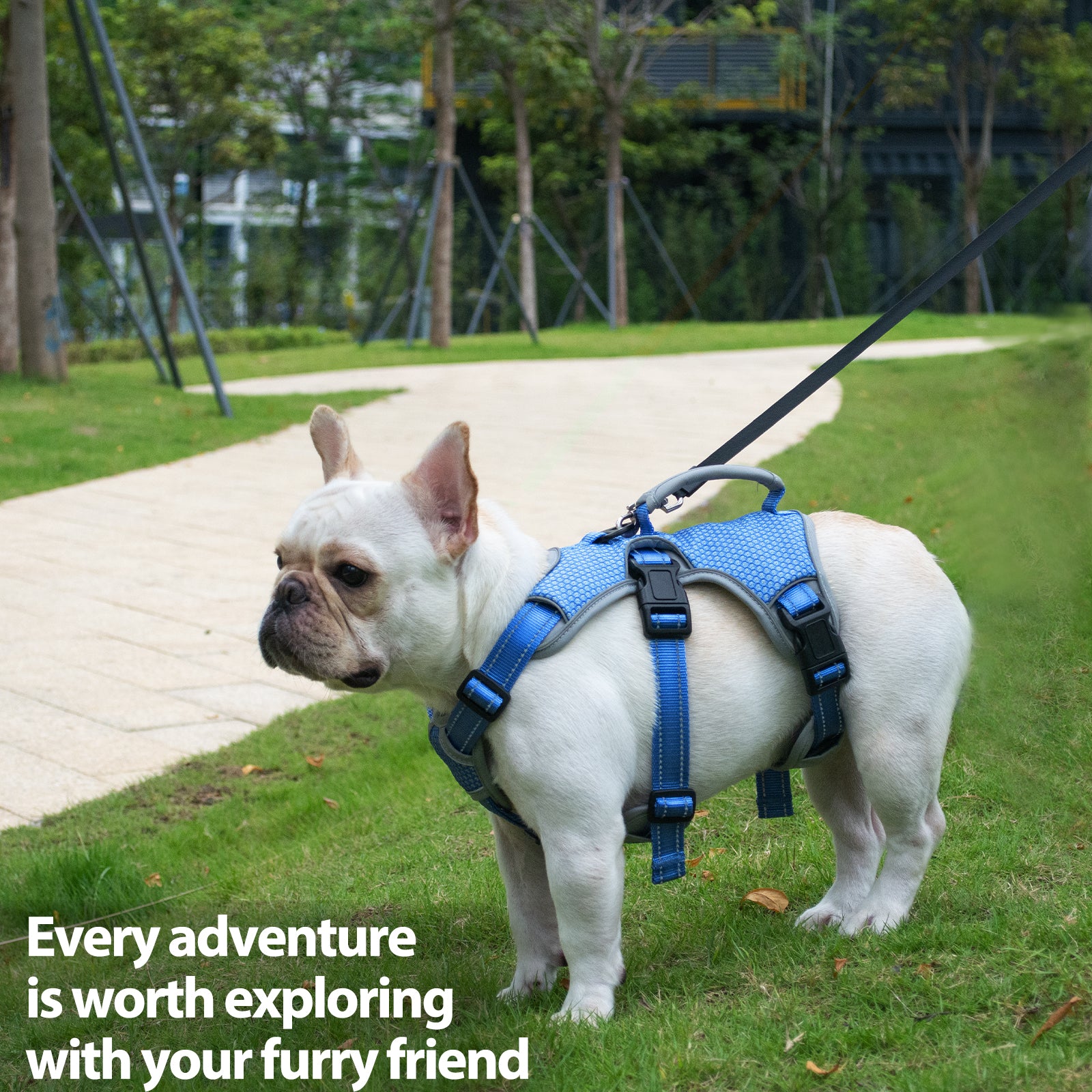 BackSecure Reflective Sea Blue dog harness padded comfort and breathable construction