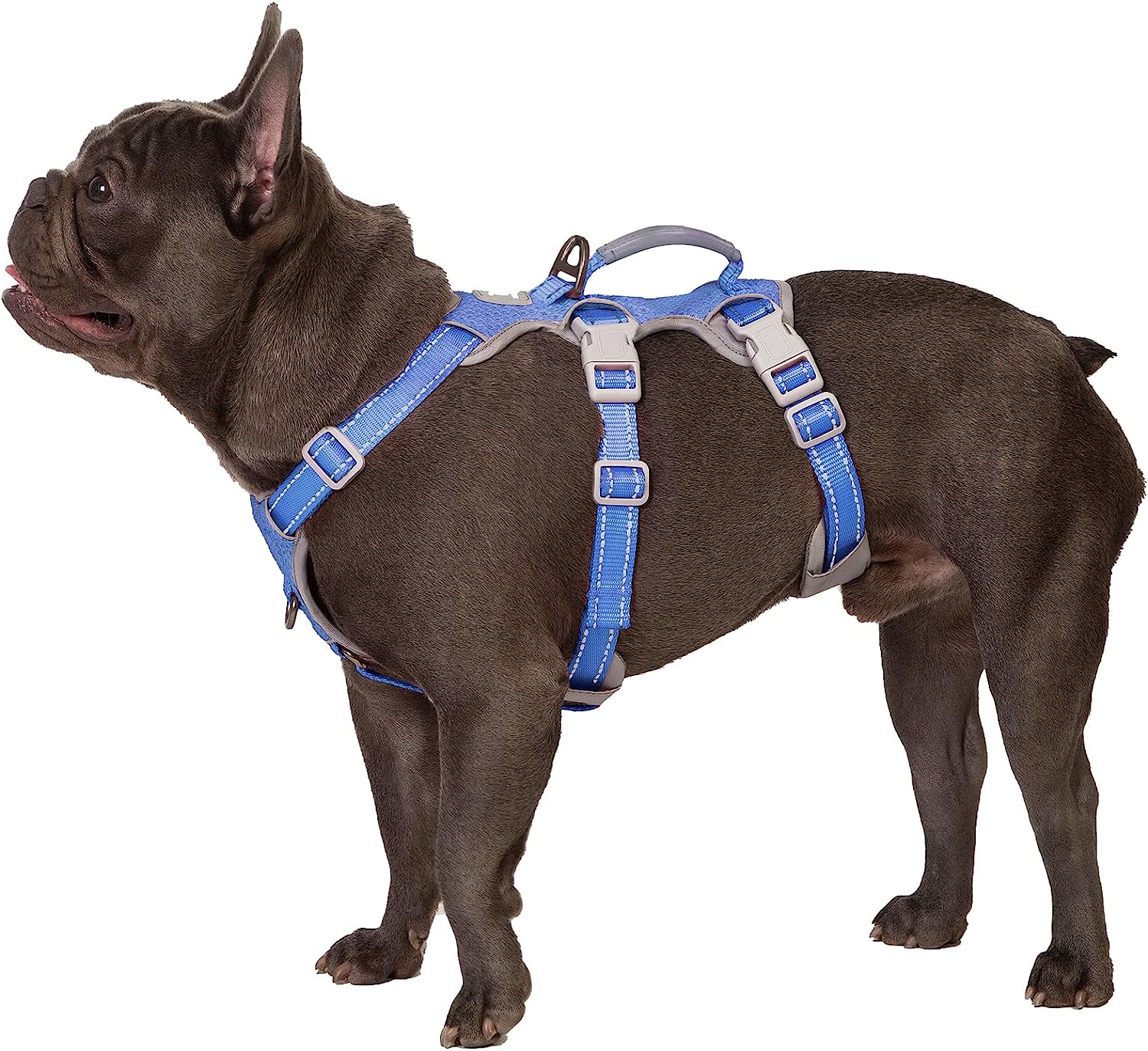 HalfGuardian Reflective Blue dog harness alternate product view and strap layout