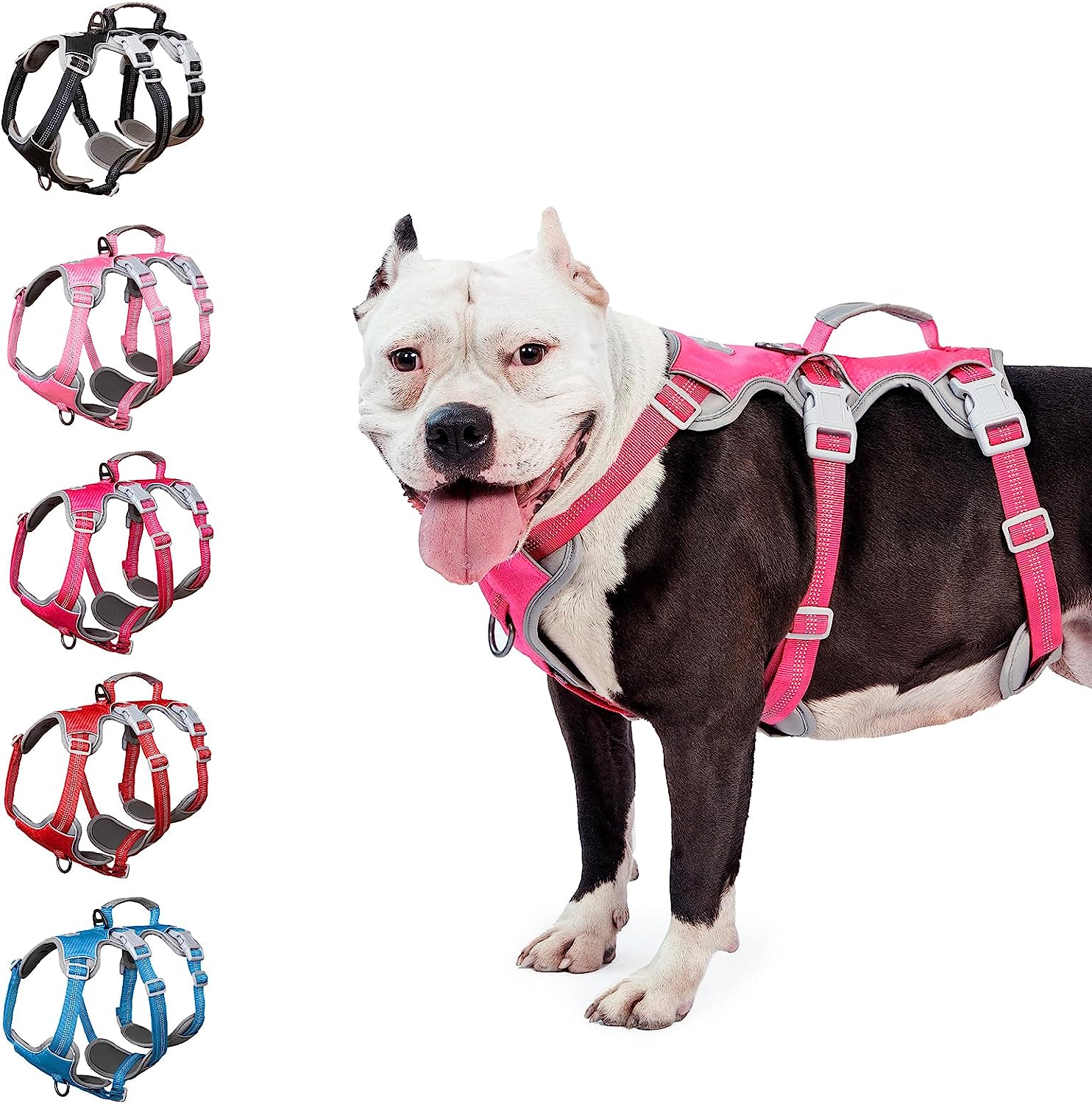 HalfGuardian Dustproof Rose Red dog harness alternate product view and strap layout