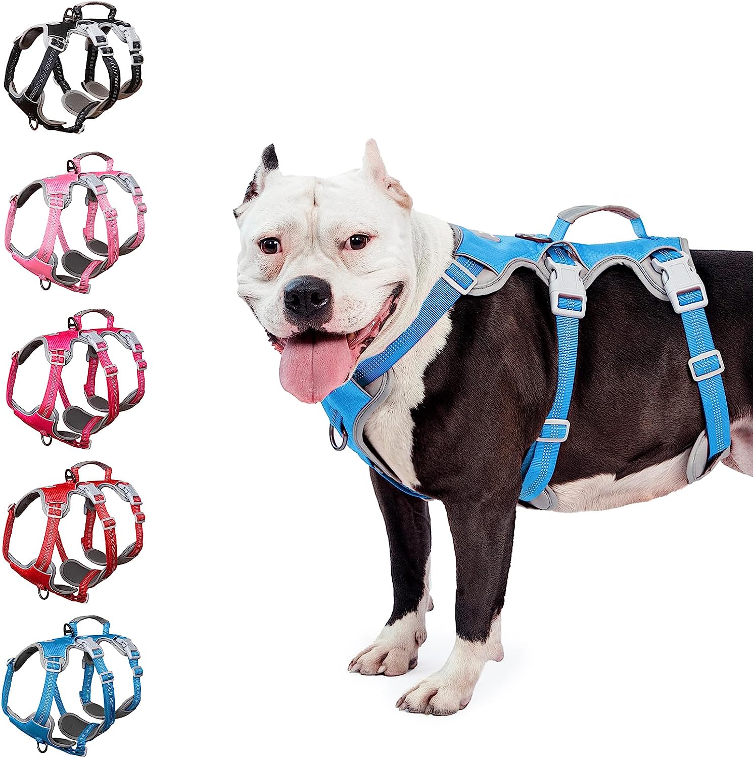 HalfGuardian Dustproof Blue dog harness alternate product view and strap layout