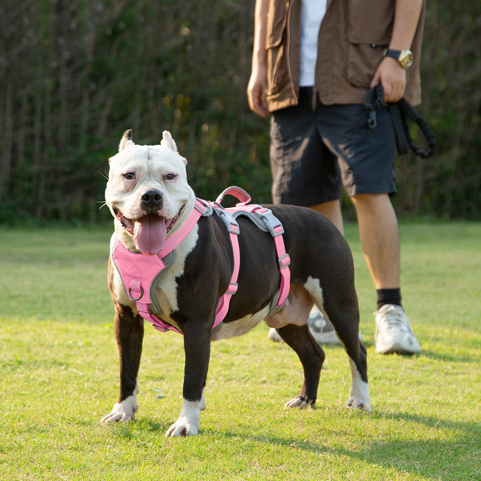 HalfGuardian Dustproof Pink dog harness size and fitting information