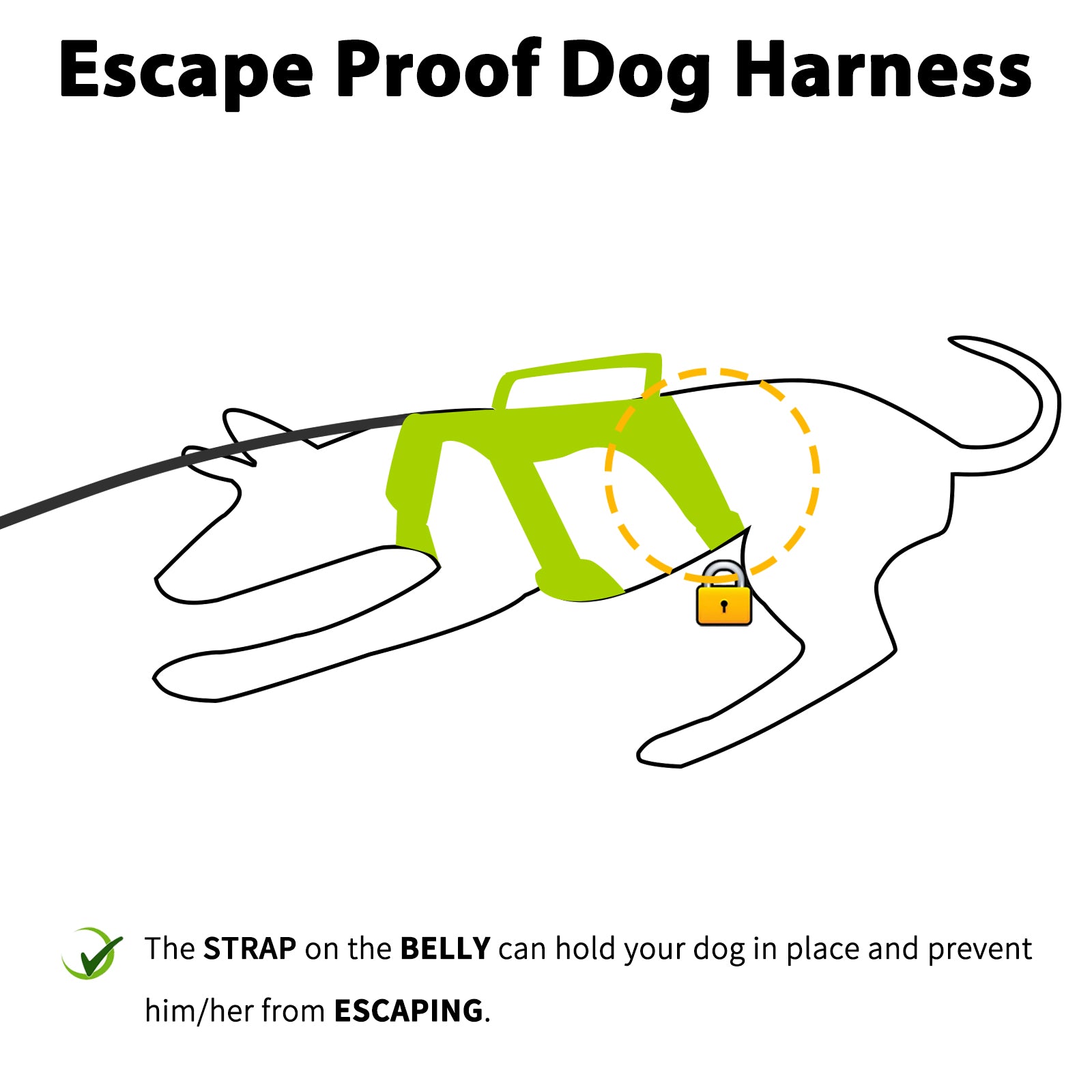 BackSecure Reflective Green dog harness coverage and fit details